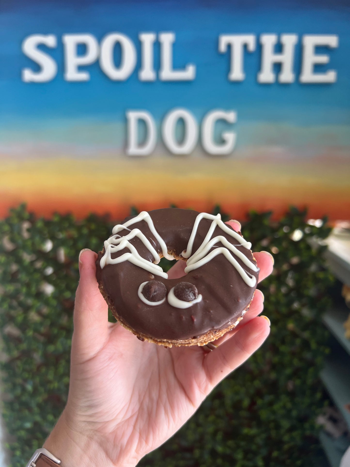 Dog Treat Halloween Fall Spider Donut