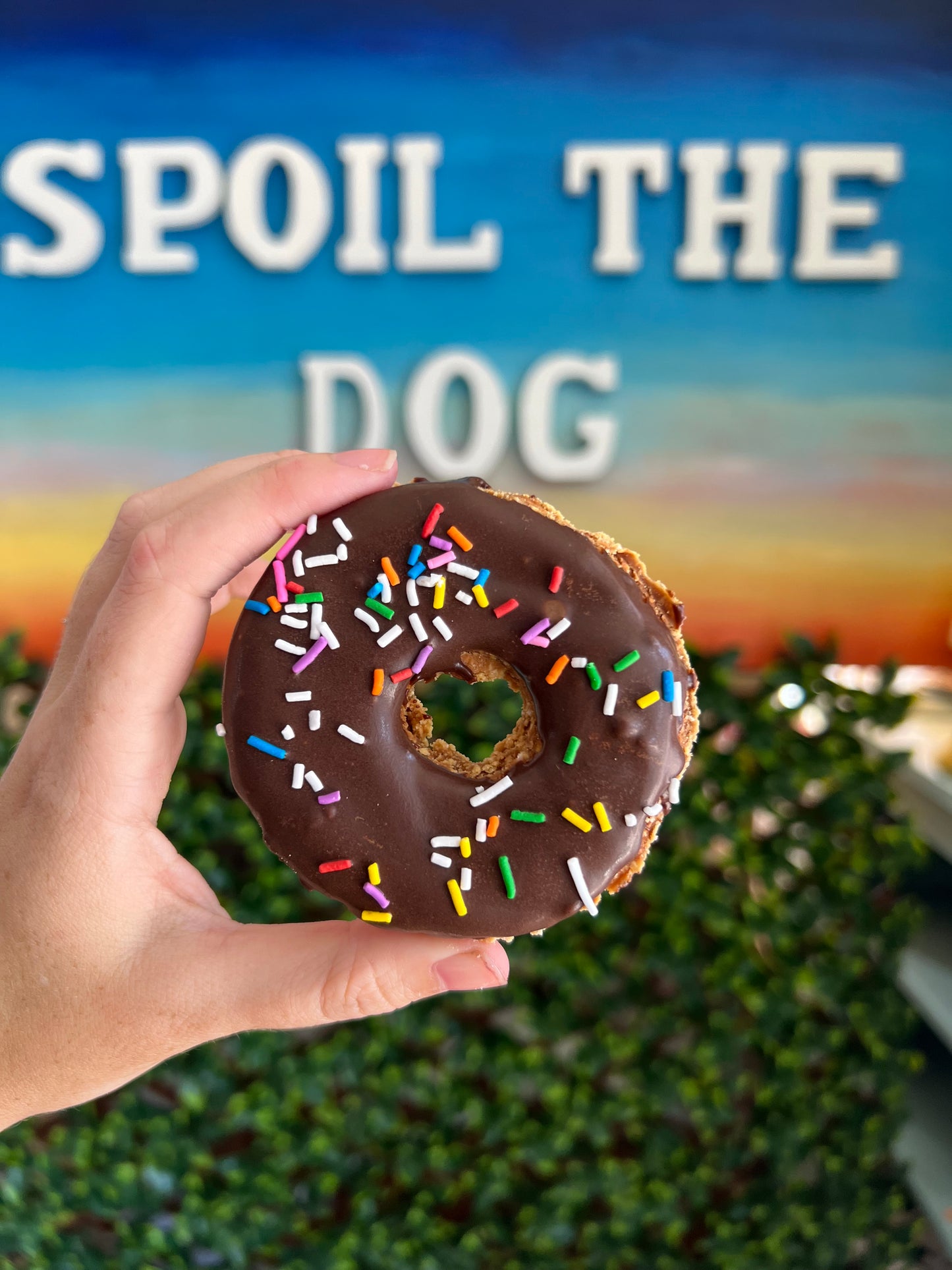 Doggie Donut Peanut Butter Dog Treat