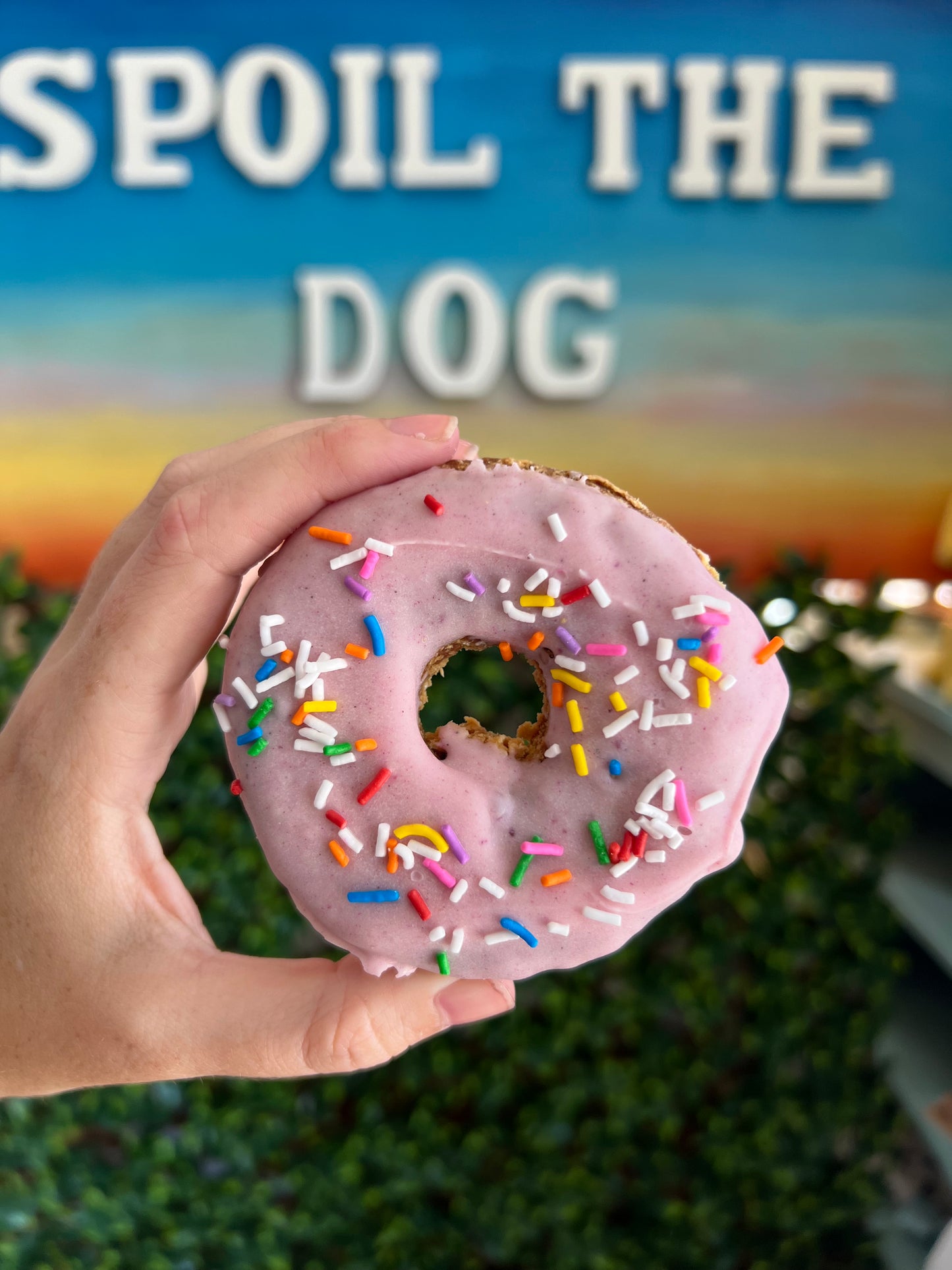 Doggie Donut Peanut Butter Dog Treat