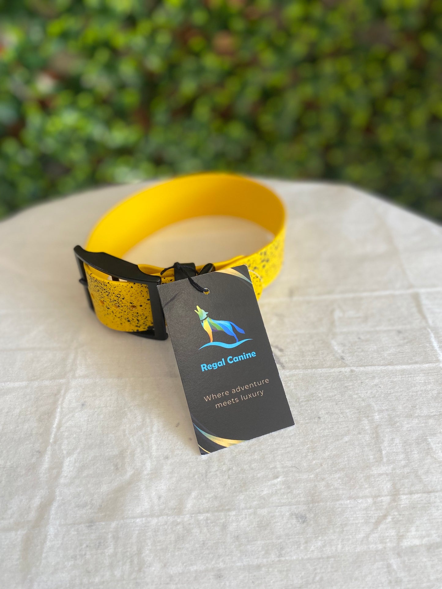 Regal Canine Biothane Dog Collars