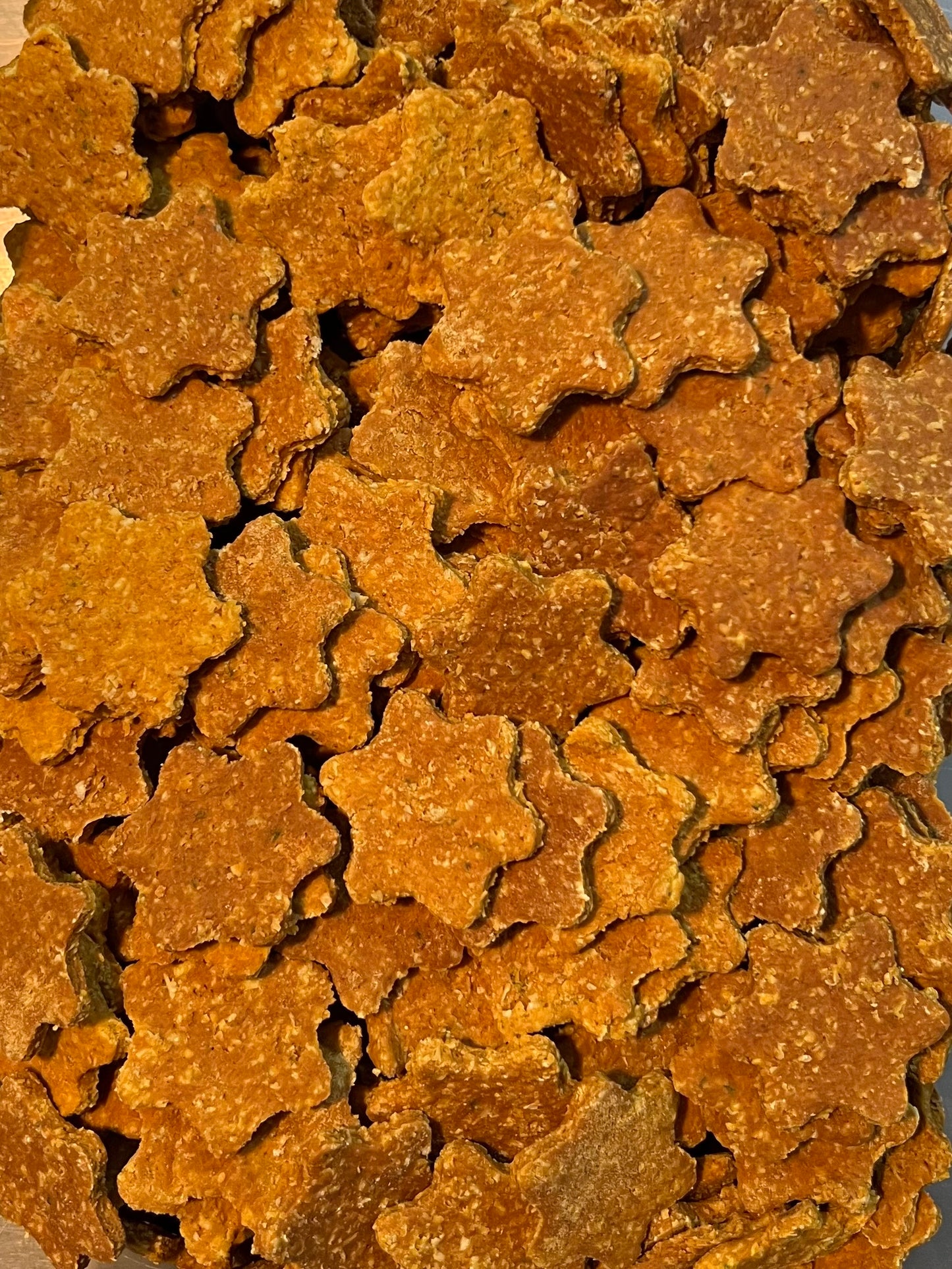 Classic Dog Treat Pack Wheat-Free - Cheddar Parsley