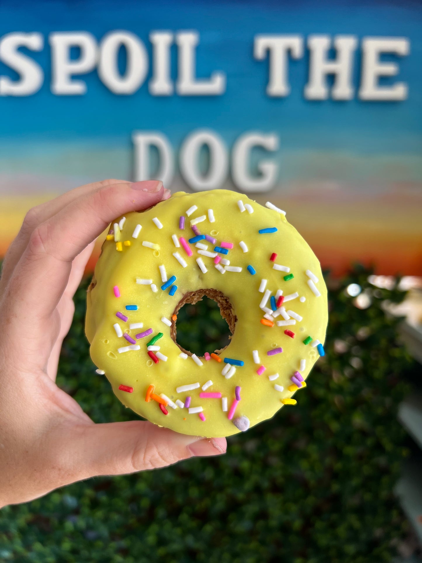 Doggie Donut Peanut Butter Dog Treat