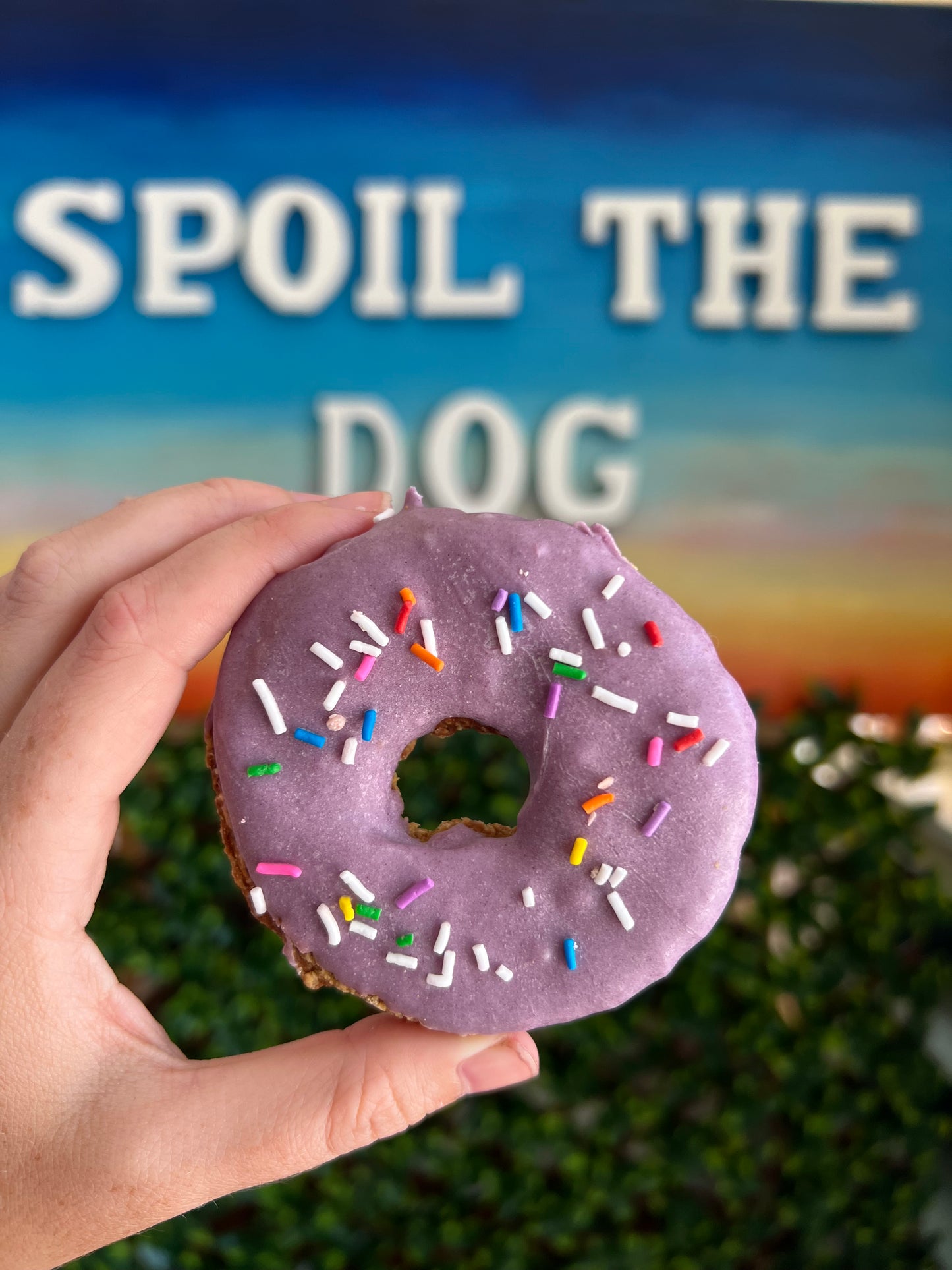 Doggie Donut Peanut Butter Dog Treat