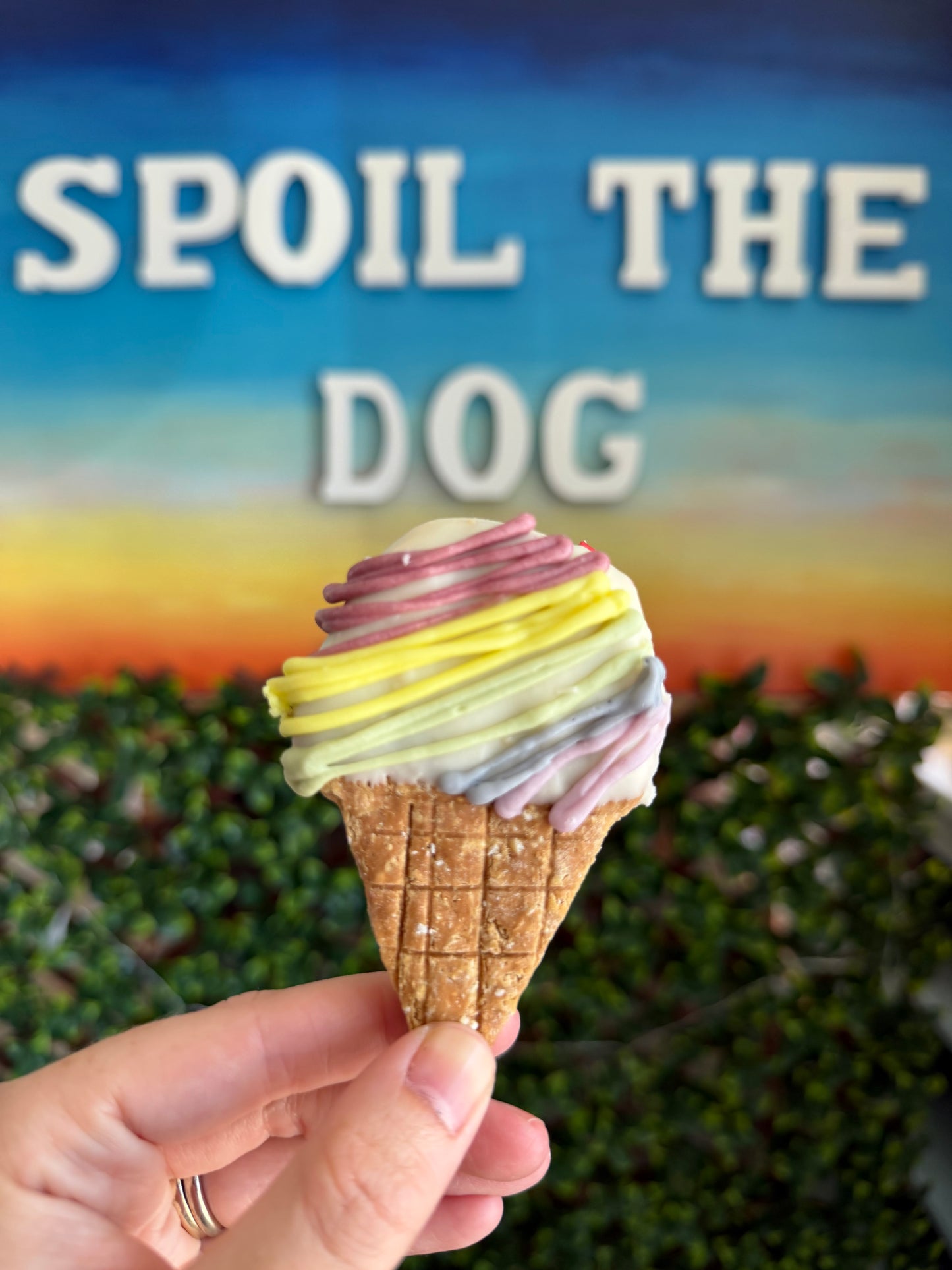 Pride Dog Treat Cookie