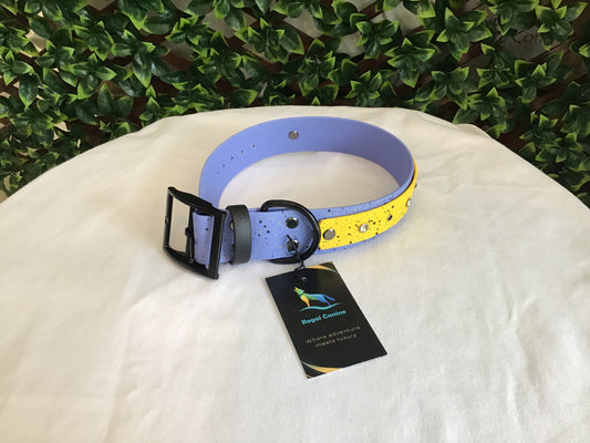 Regal Canine Biothane Dog Collars