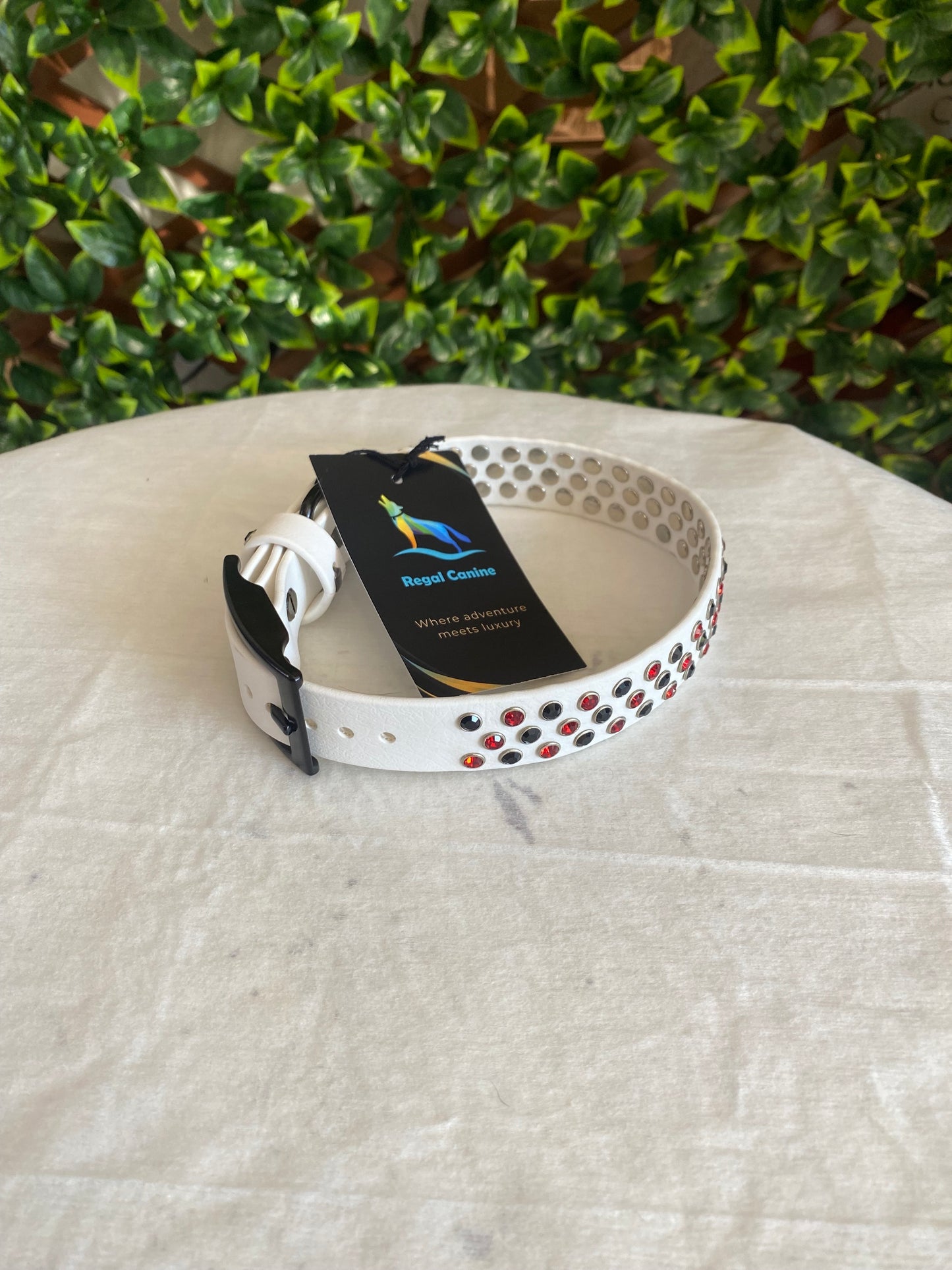 Regal Canine Biothane Dog Collars
