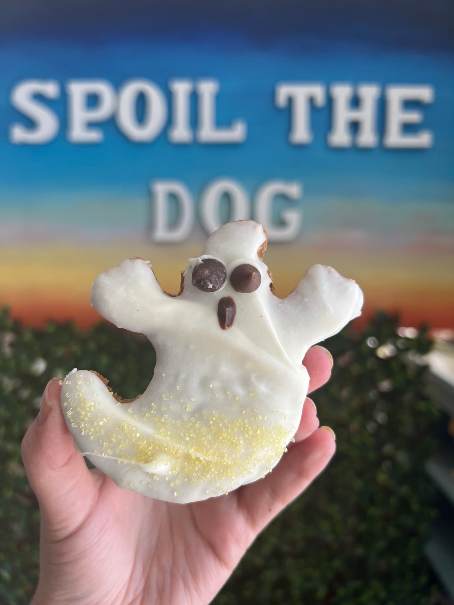 Dog Treat Halloween Fall Ghost (Wholesale - 1 dozen)