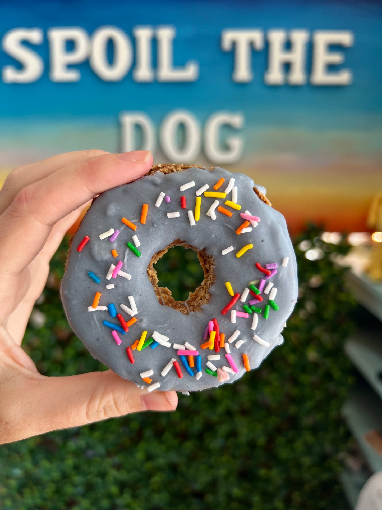 Doggie Donut Peanut Butter Dog Treat
