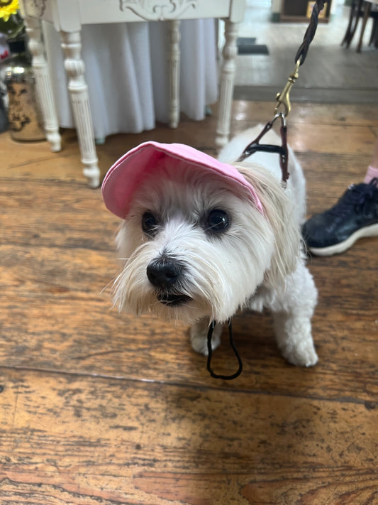 Tail Up Dog Sun Hats/Sun Protection for Dogs