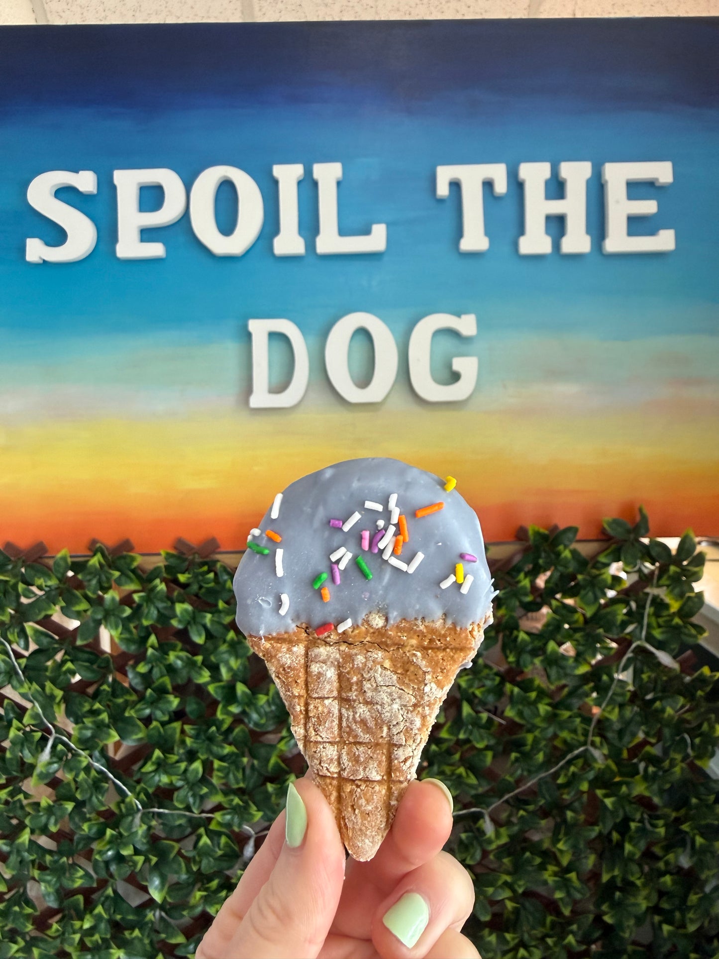 Assorted Dog Treat Peanut Butter Ice Cream Cones (Wholesale - 1 dozen)