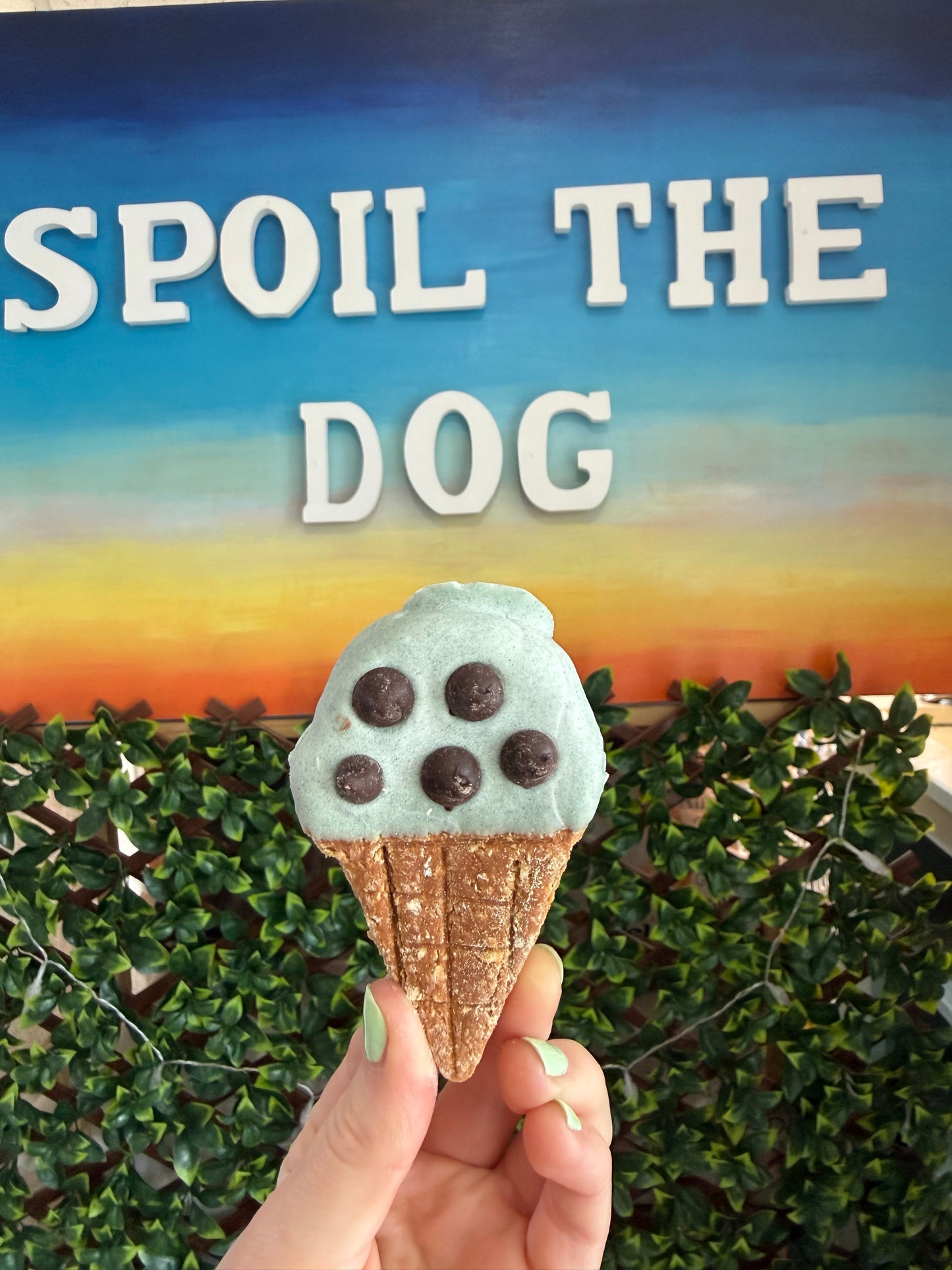 Ice Cream Cones Wheat-Free Dog Treat