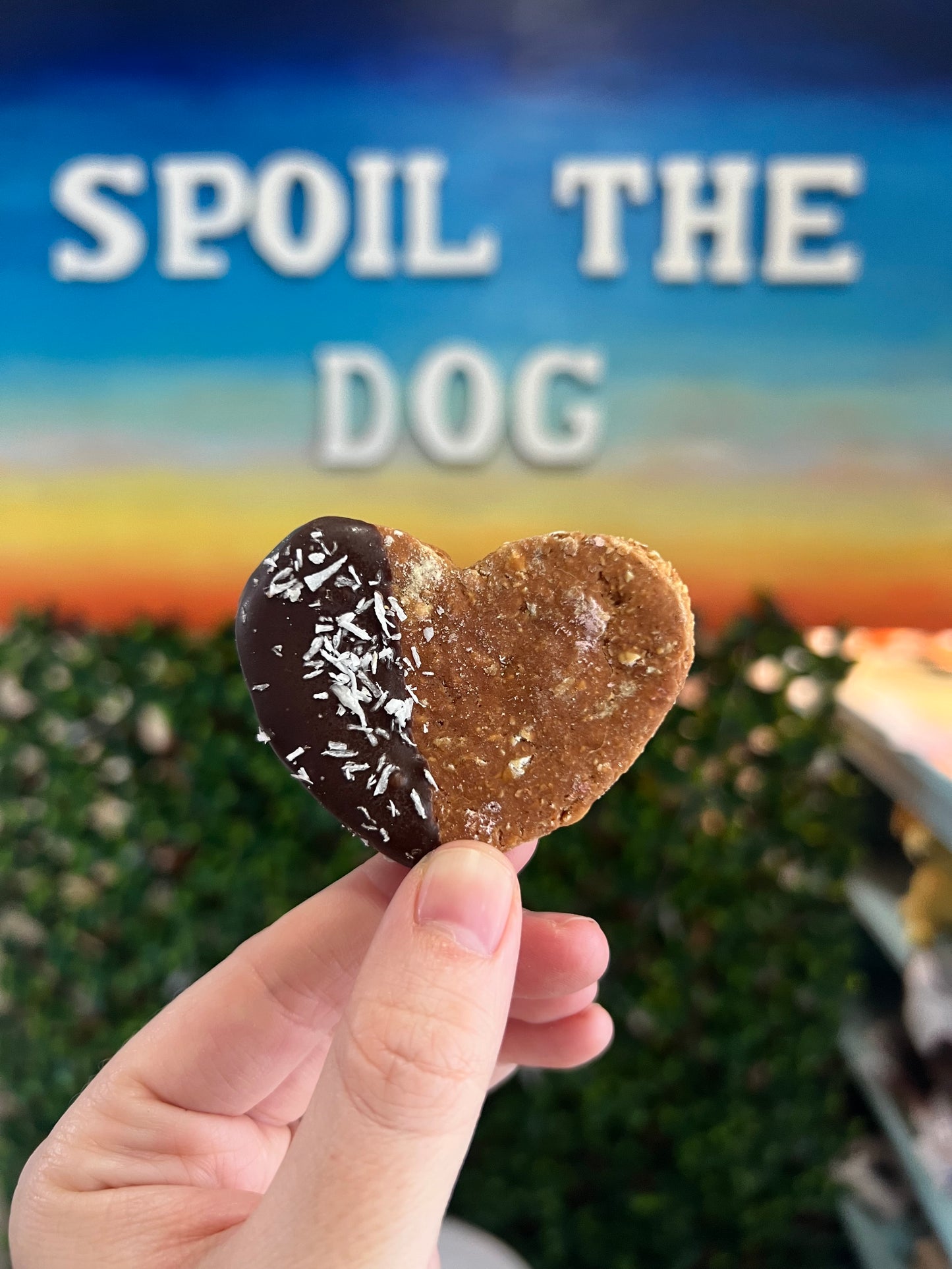 Mini Peanut Butter Valentine Hearts Dog Treat