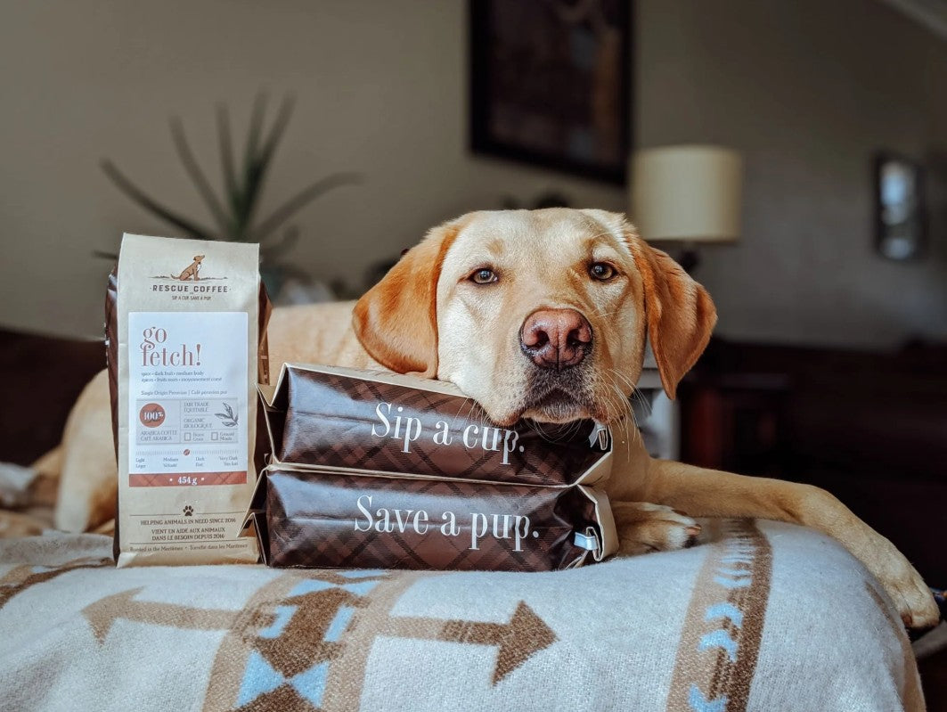 Rescue Coffee