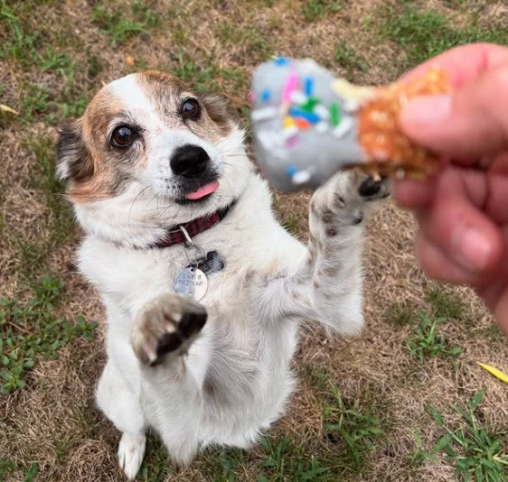 Dog Treat Mini Bones (Wholesale - 3 dozen)