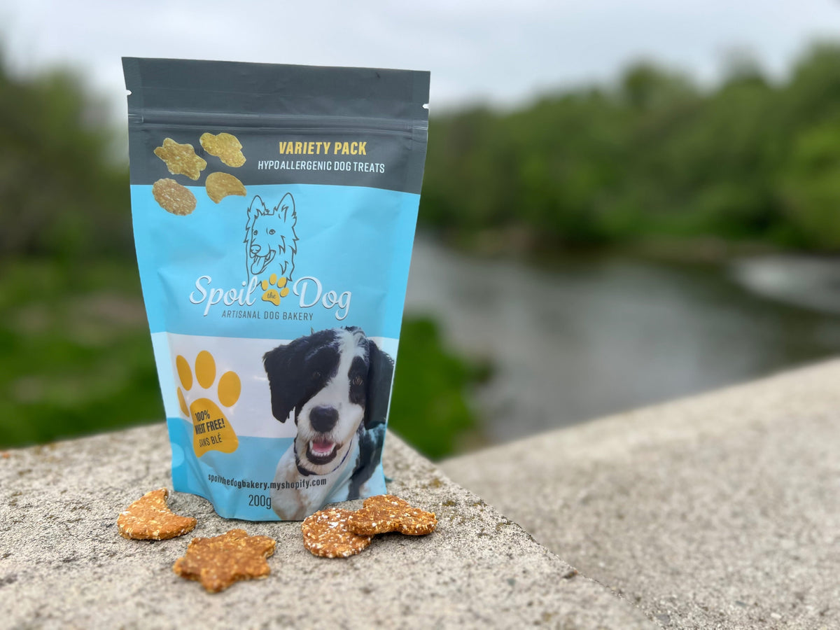 Are Wheat-Free Dog Treats Better for Dogs with Allergies?