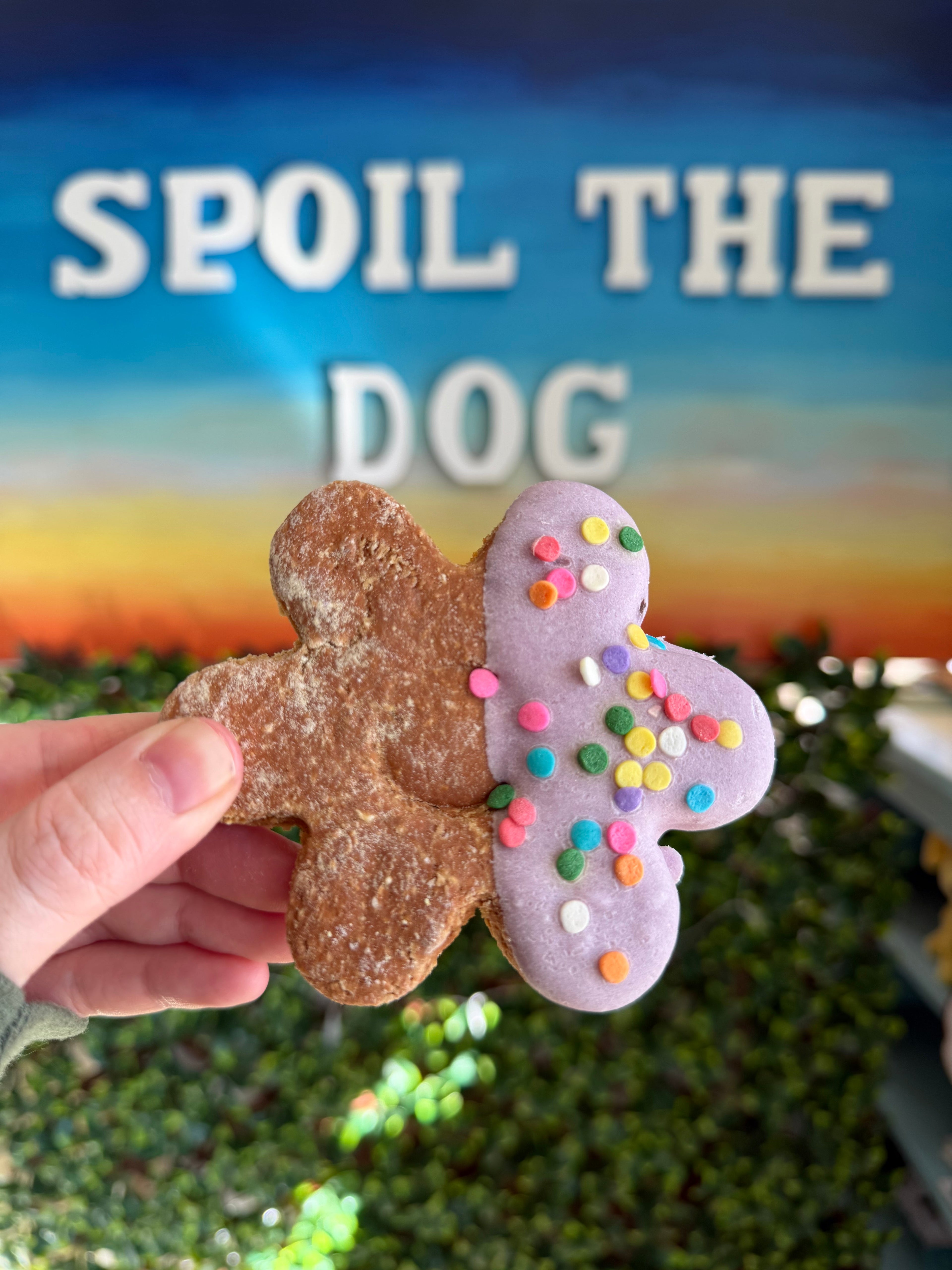 Dog Bakery Biscuits