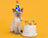 Cat Birthdays & Special Occasions