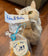 Cat Treats
