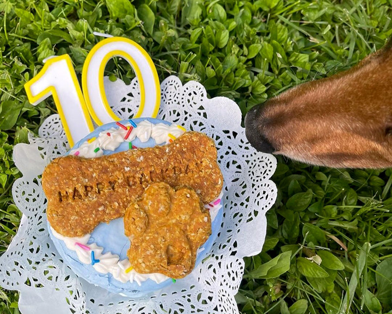 Dog Birthdays