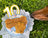Dog Birthdays