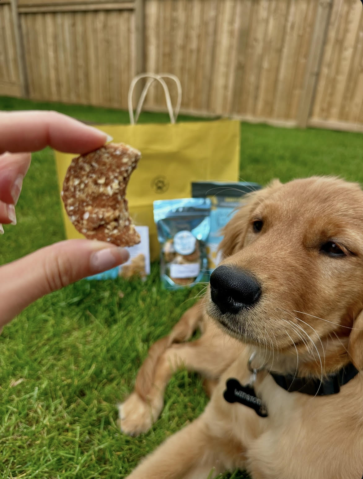Dog Treats