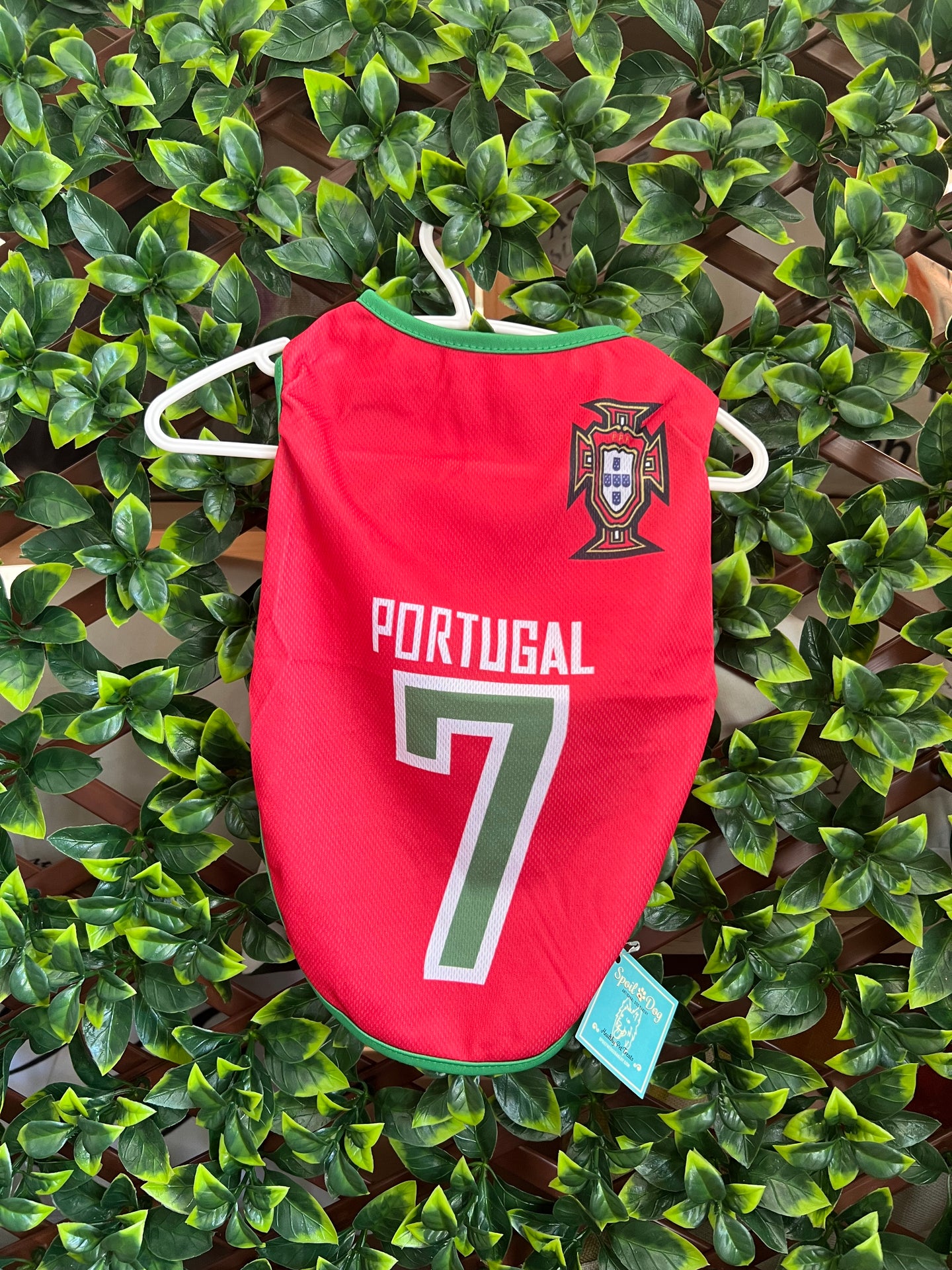Dog Soccer Jersey