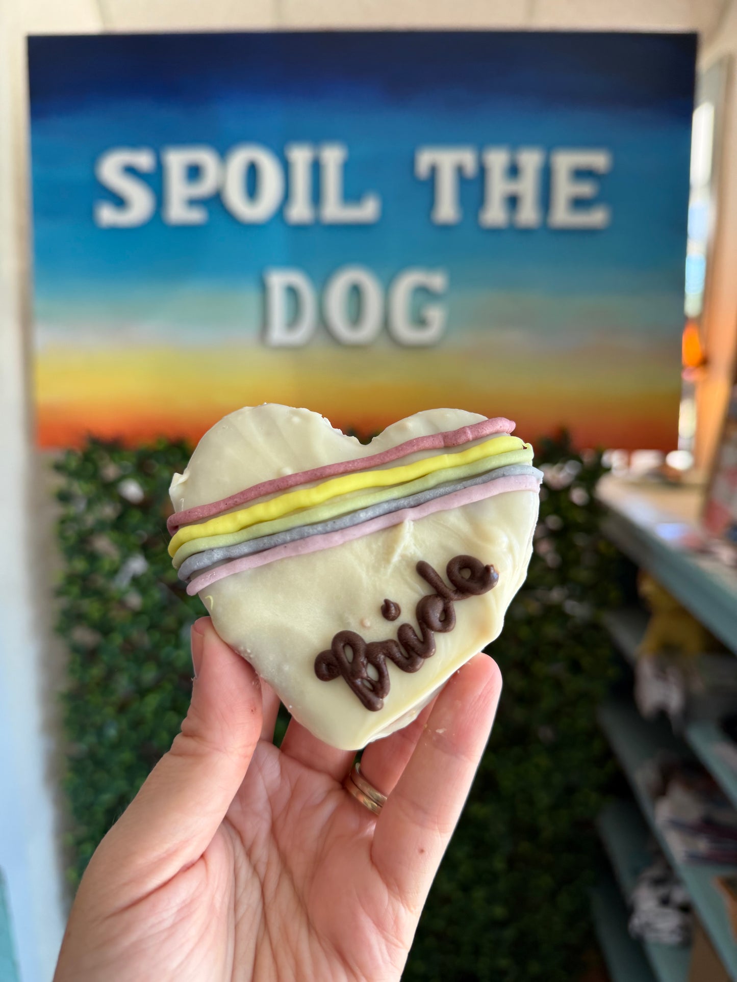 Pride Dog Treat Cookie