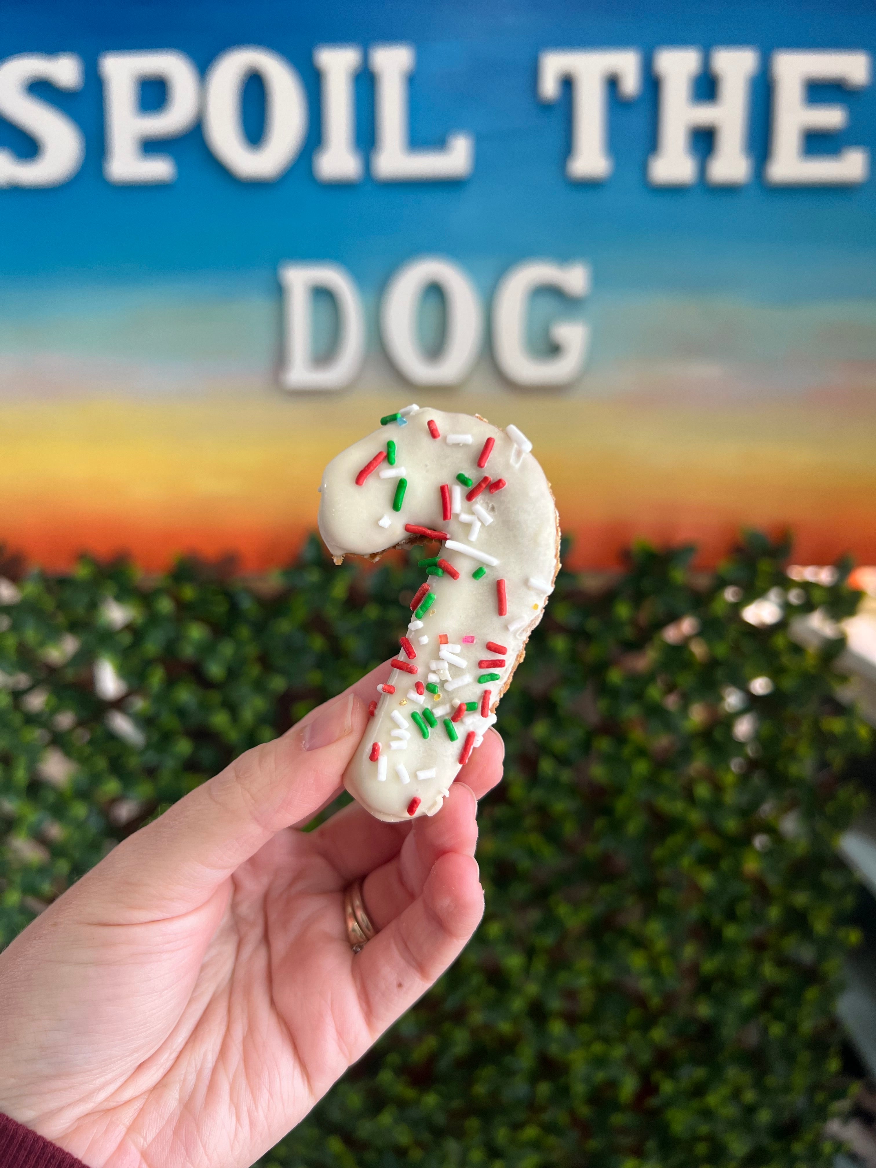Hand holding a candy cane shaped cookie with sprinkles in front of a colorful sign and green foliage.