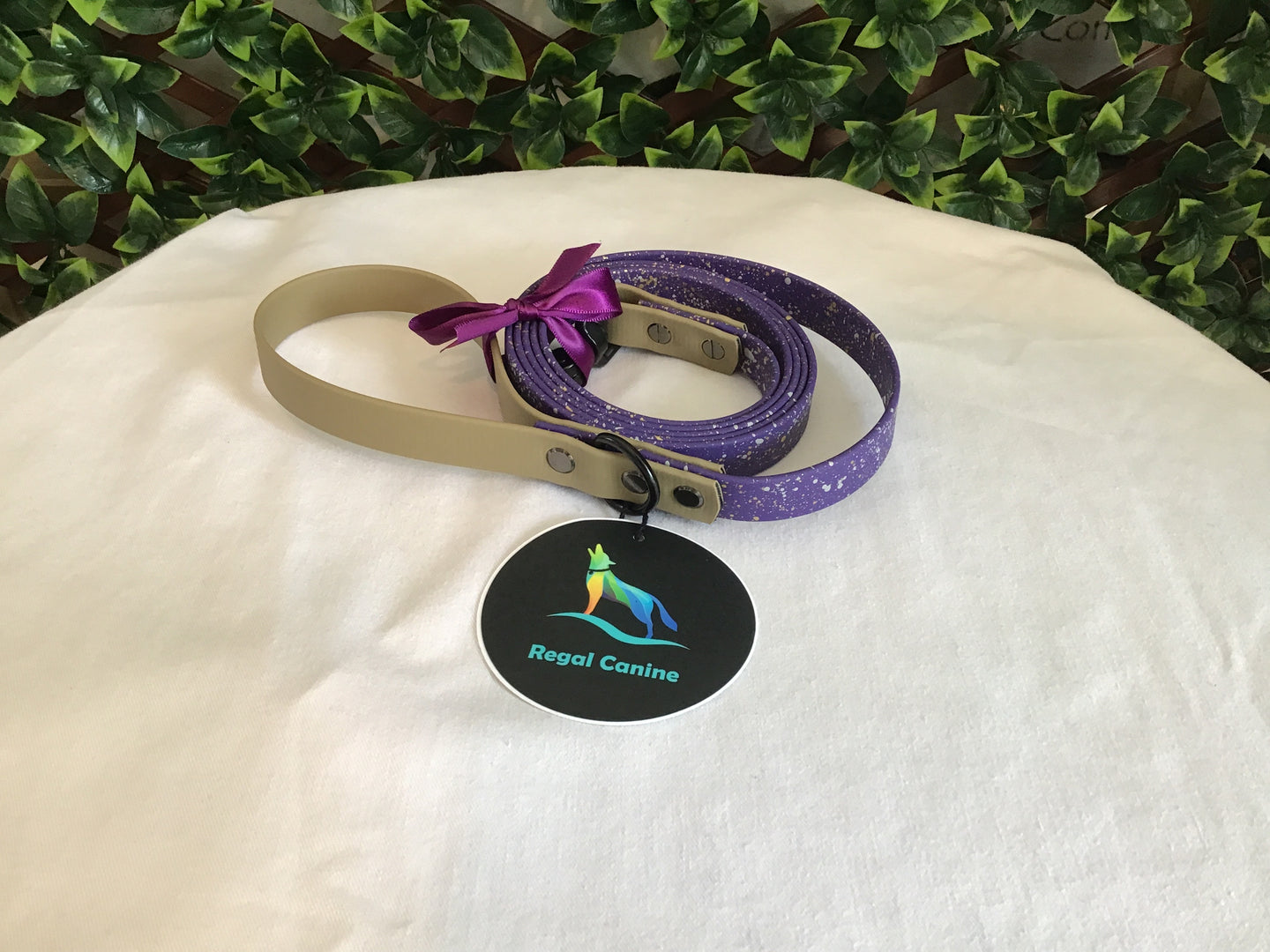 Regal Canine Biothane Leashes