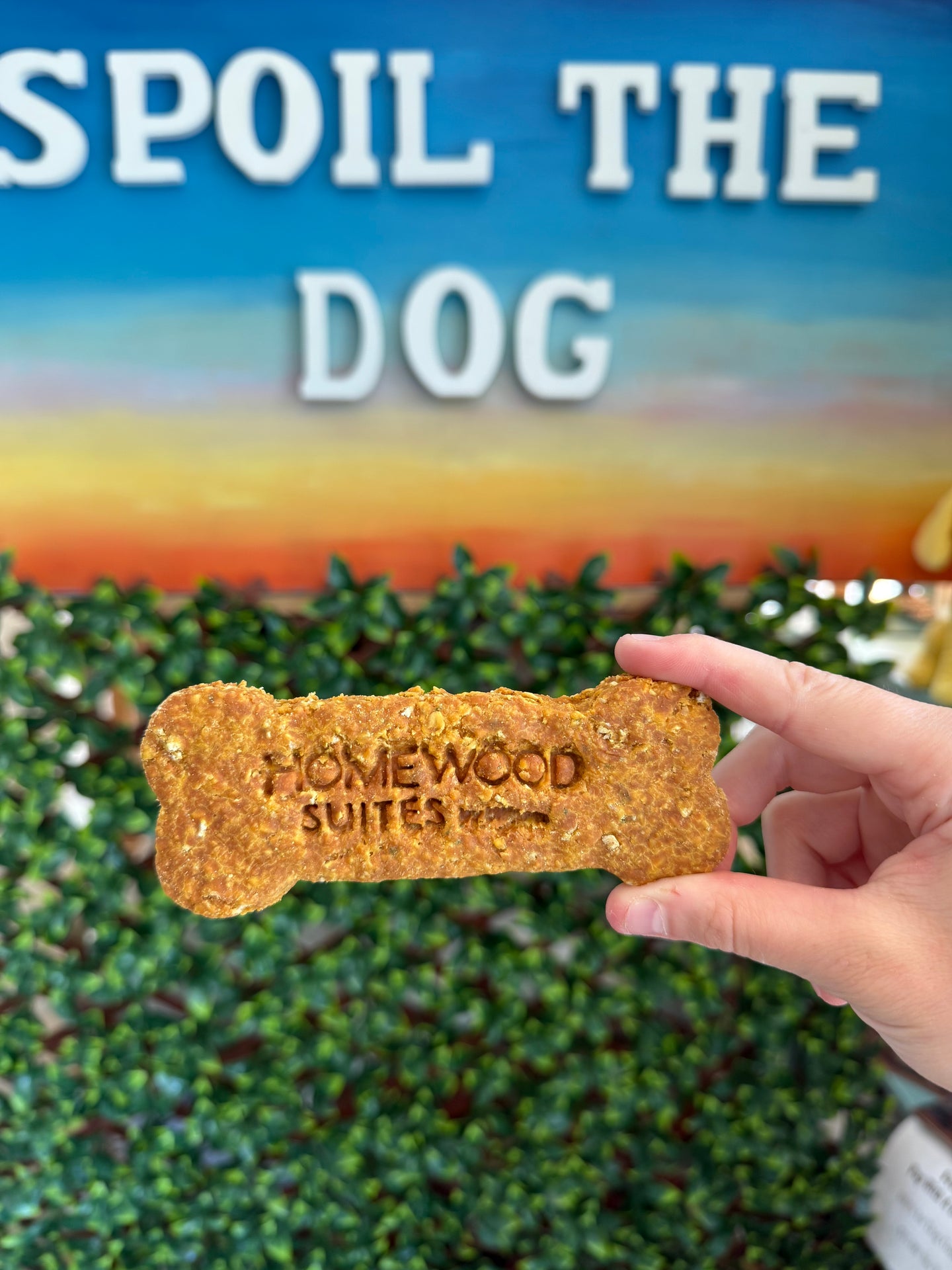 Dog treat shaped like a bone with 'Homewood Suites' branding, held by a hand against a blurred background.