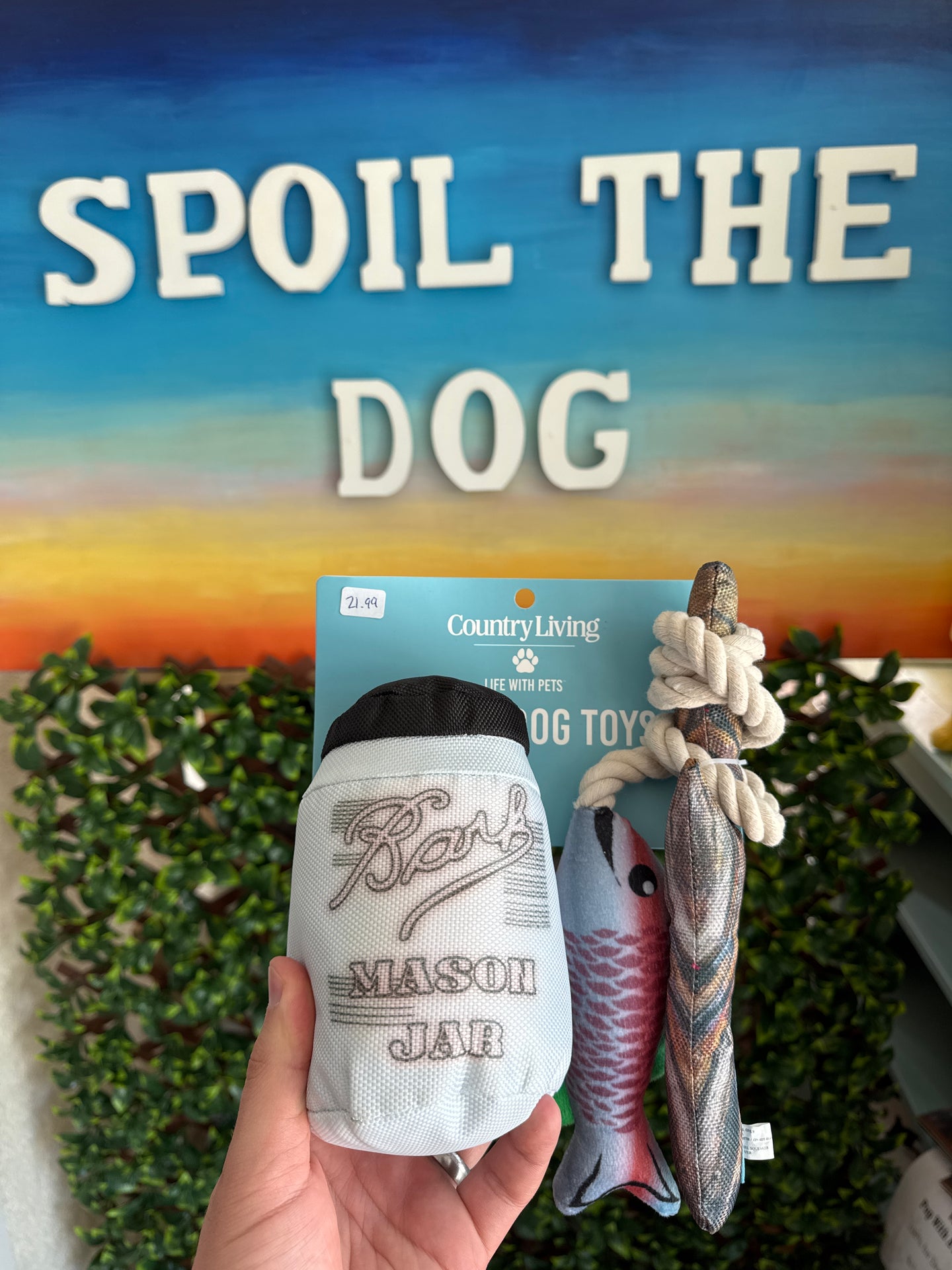 Dog fishing toy with packaging labeled 'Spoil the Dog' held by a hand against a blurred background.