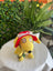 Tail Up Dog Sun Hats/Sun Protection for Dogs