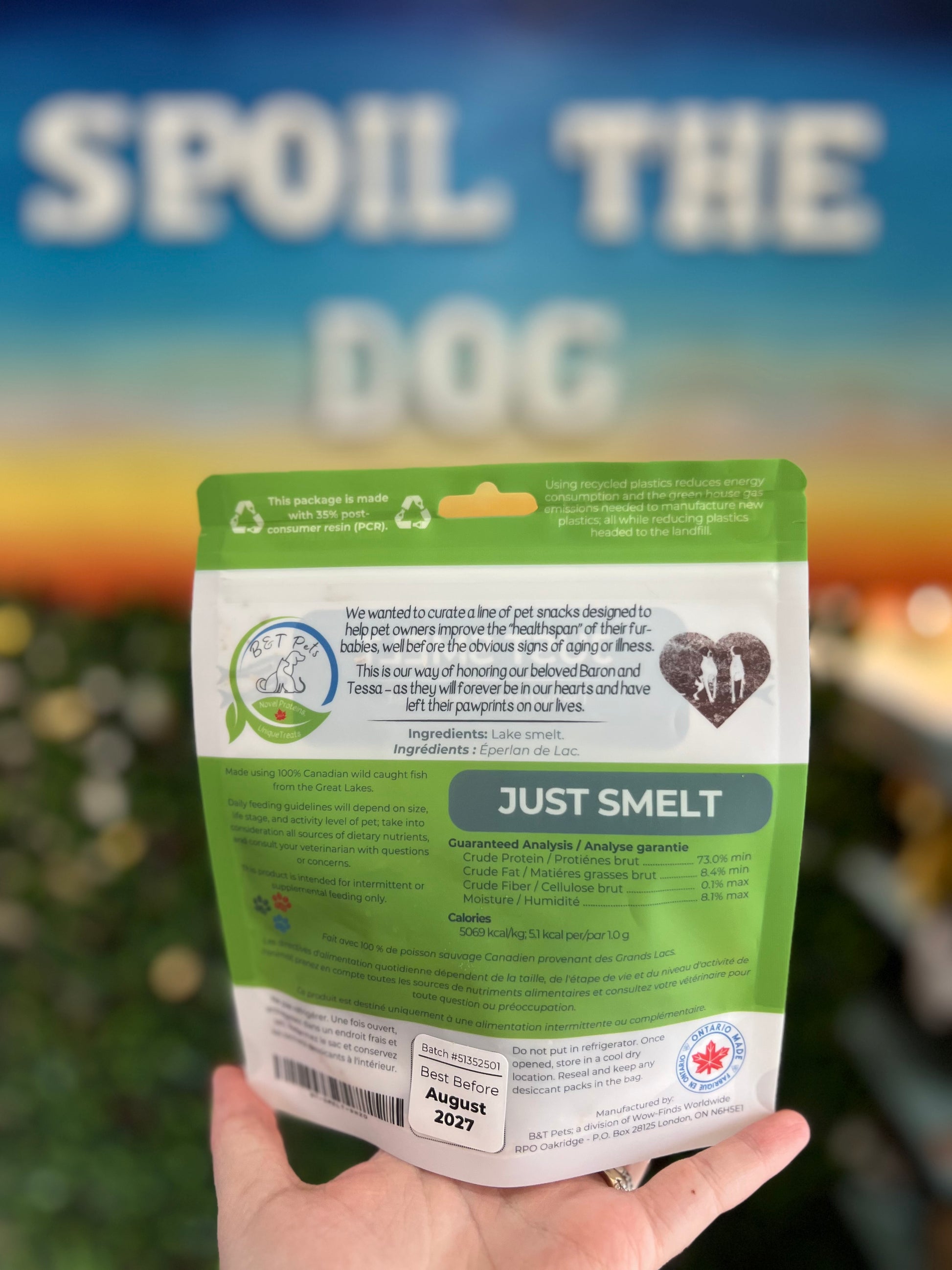 Hand holding a green pet food package with text 'Spoil the Dog' in the background