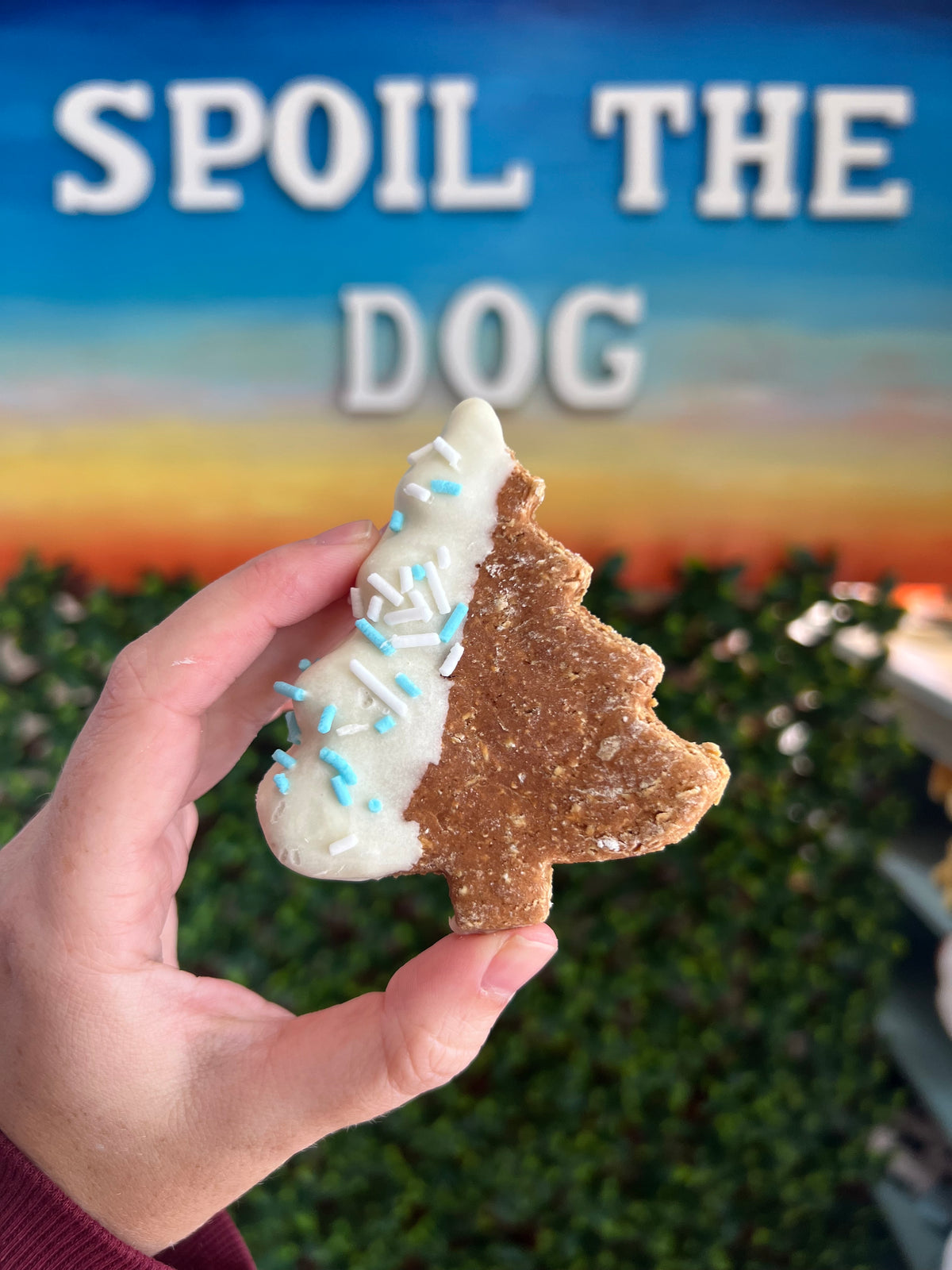Hand holding a dog treat shaped like a tree with sprinkles, in front of a 'Spoil the Dog' sign.