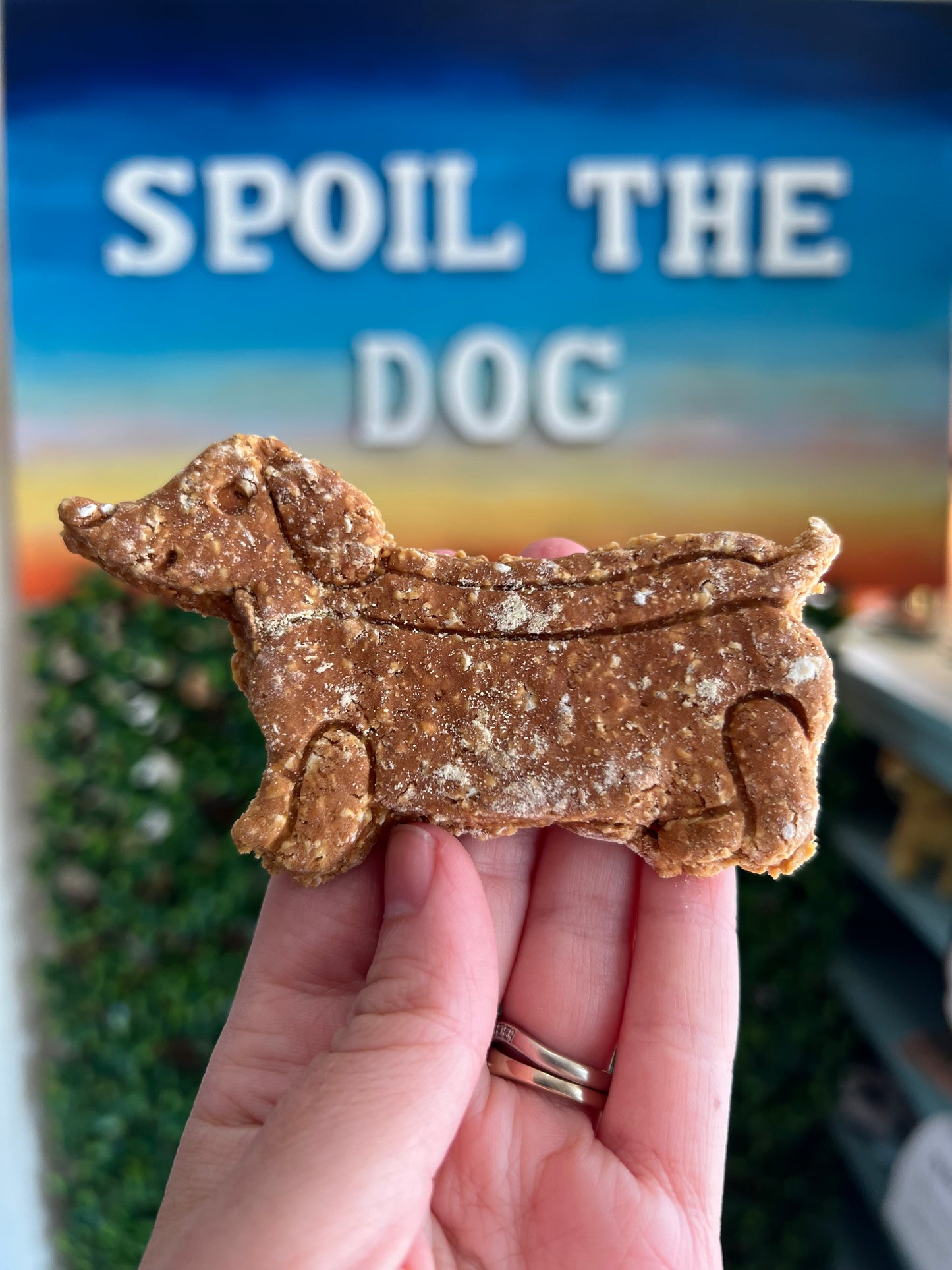 Wiener Dog Cookies