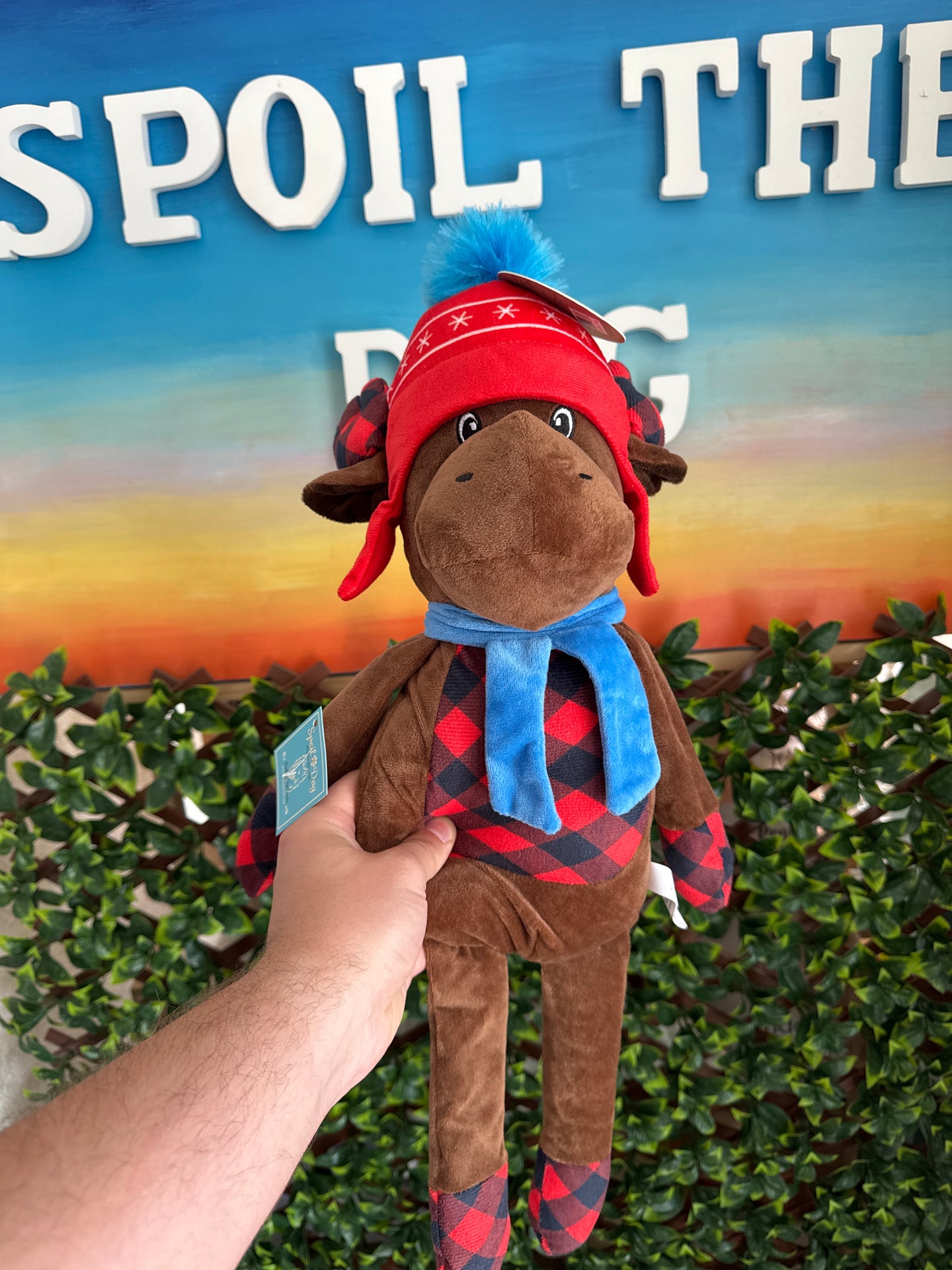 Peluches de chiens