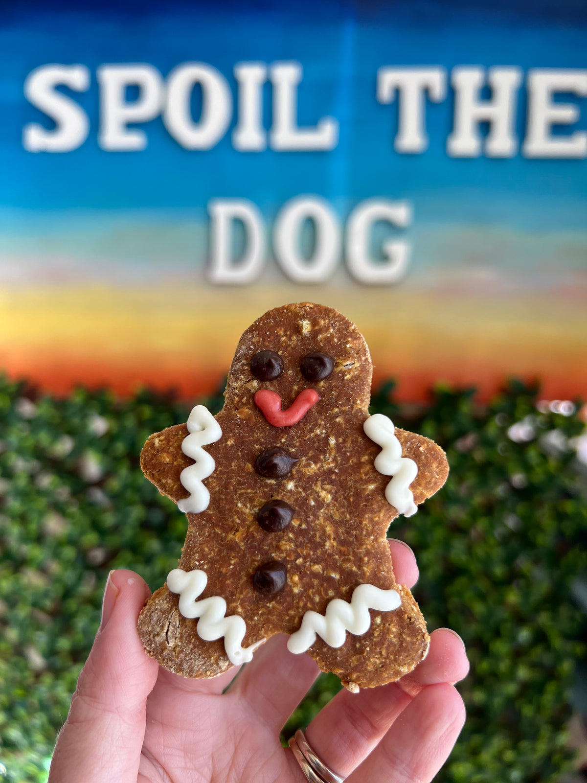 Gingerbread man-shaped cookie with icing details held by a hand, with 'Spoil the Dog' sign in the background.