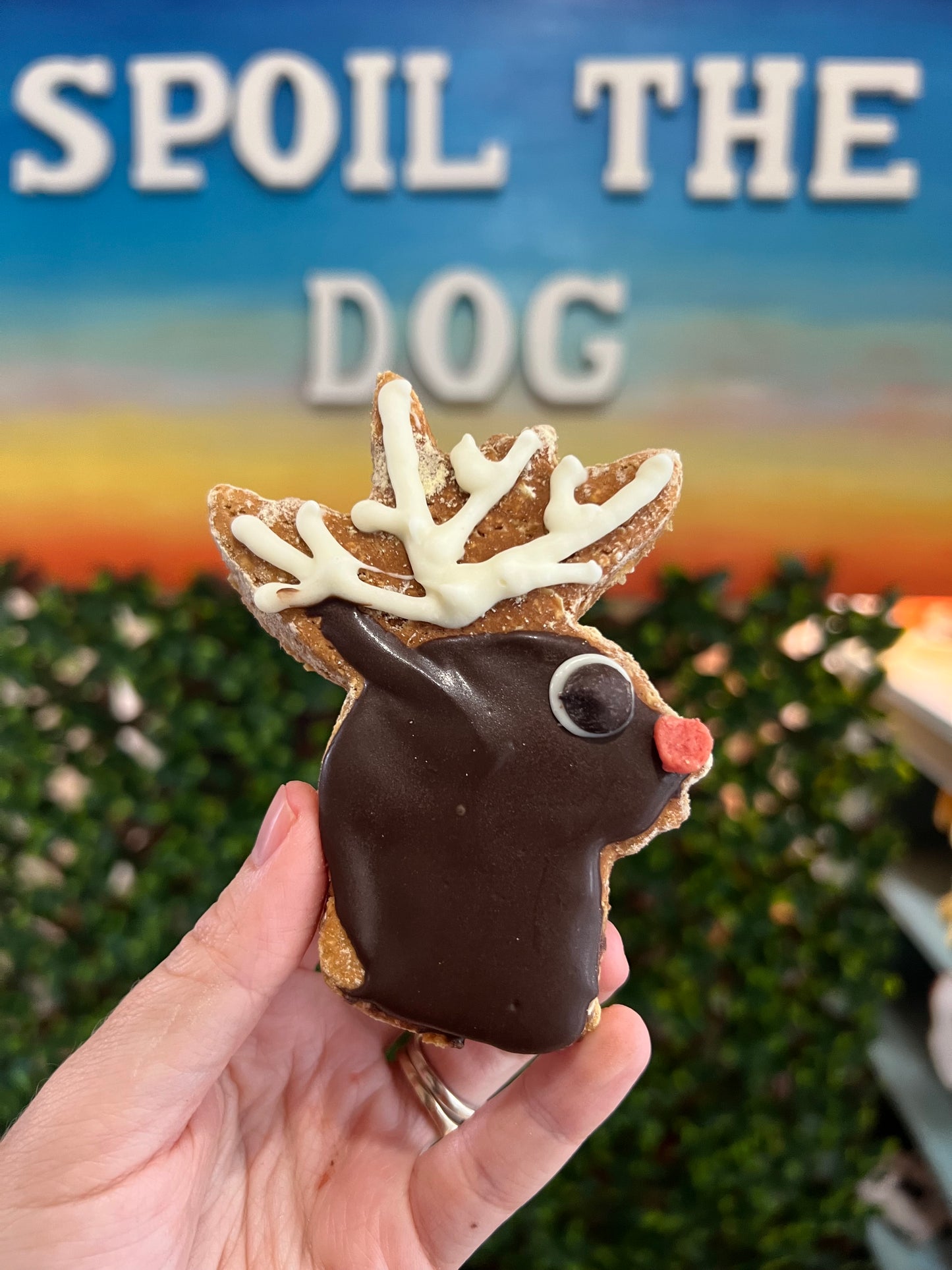 Christmas Dog Treat Rudolf The Red-Nosed Reindeer