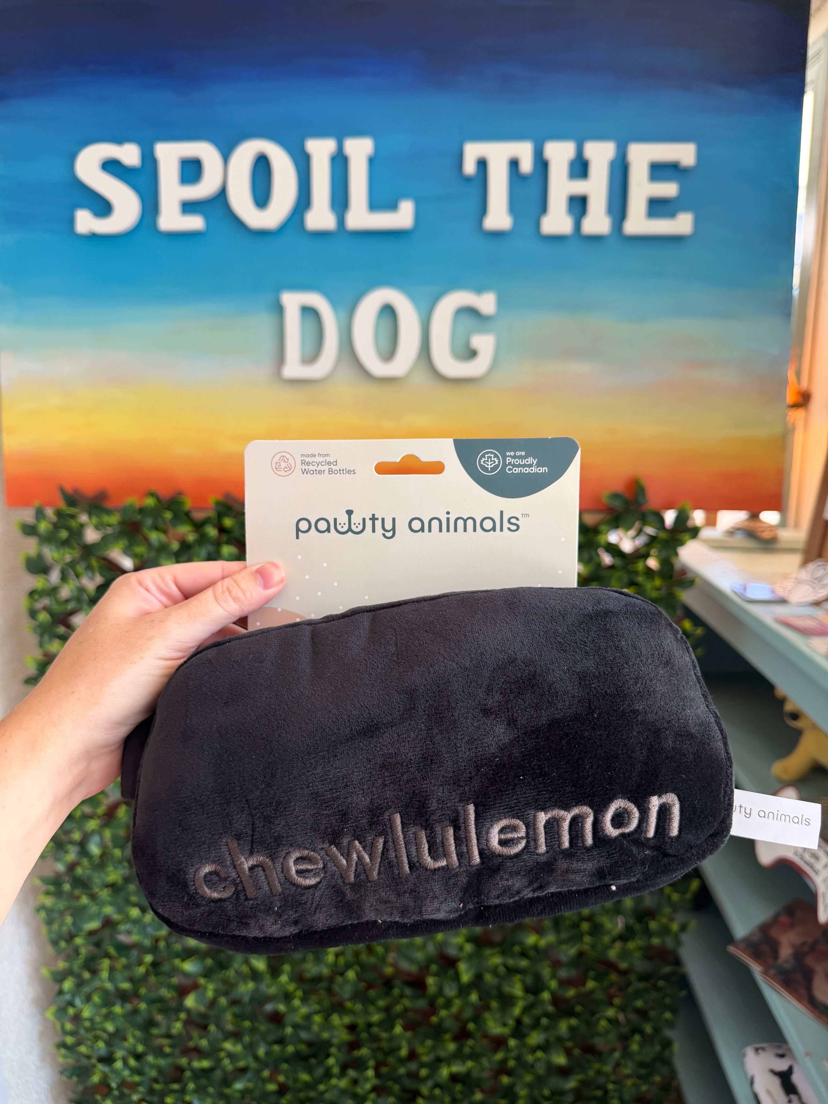 Chewlulemon bag - dog toy
