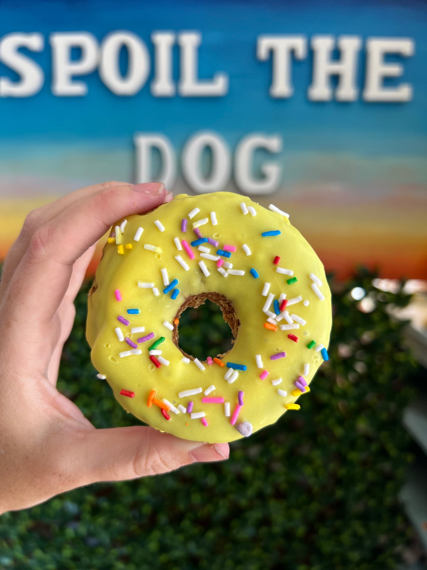 Doggie Donut Peanut Butter Dog Treat