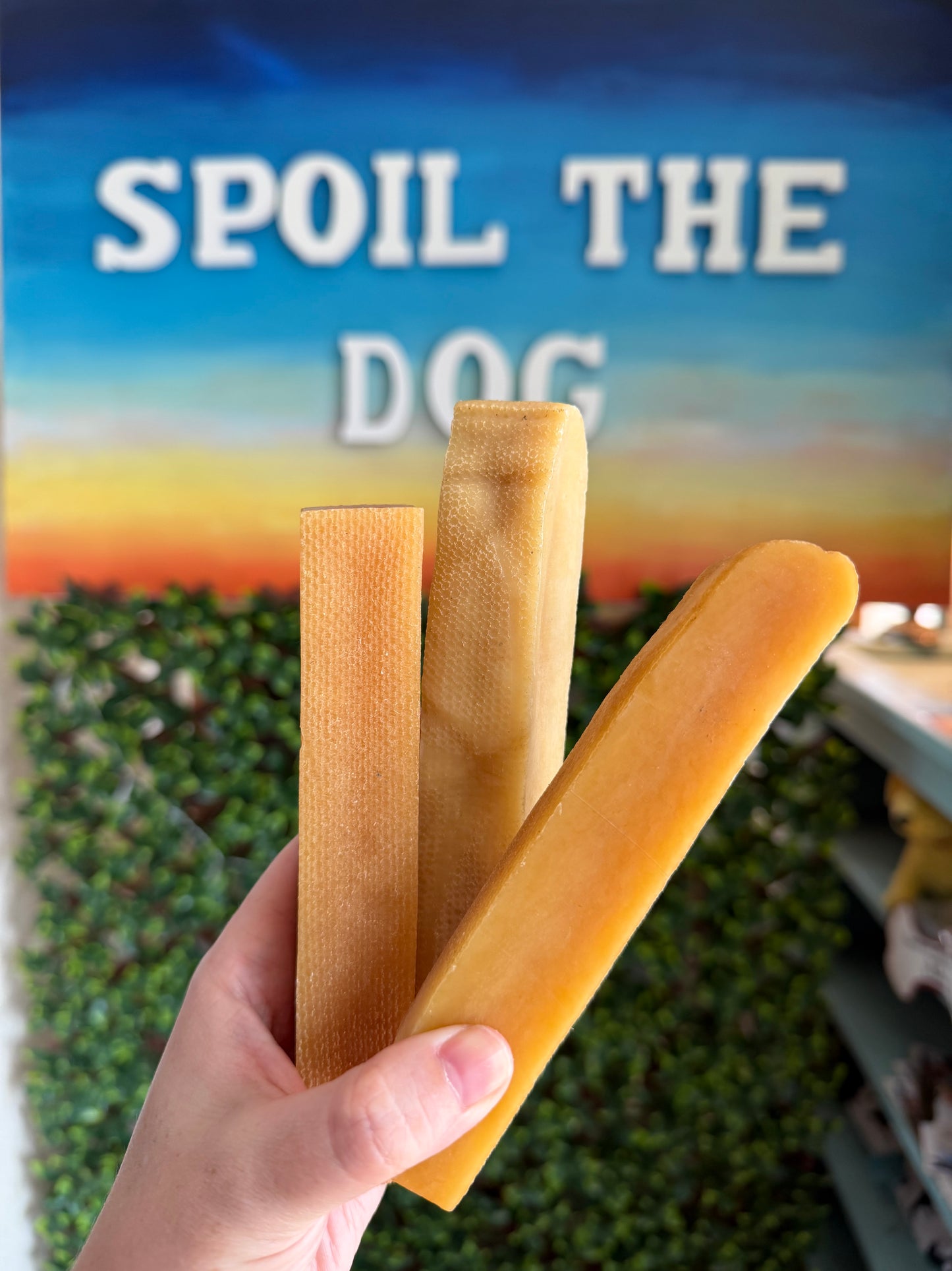 Friandises à mâcher pour chiens 100% naturelles (Snow Lion Pet Supply)