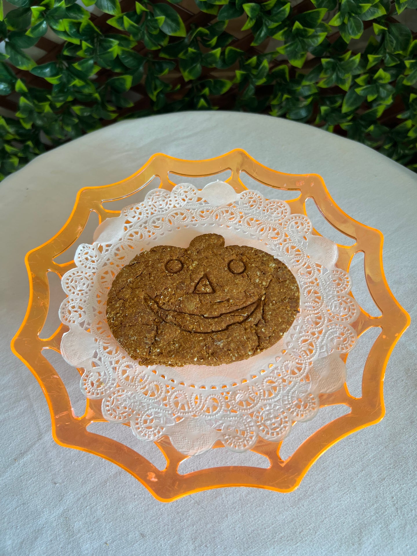 Fall Jack O Lantern Pumpkin Dog Treat (Wholesale - 1 dozen)