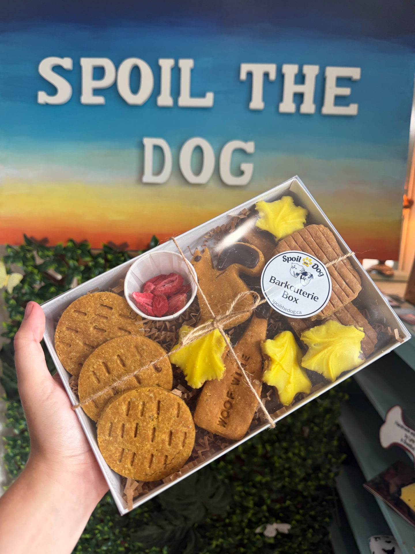 Boîte de friandises pour chiens Barkcuterie