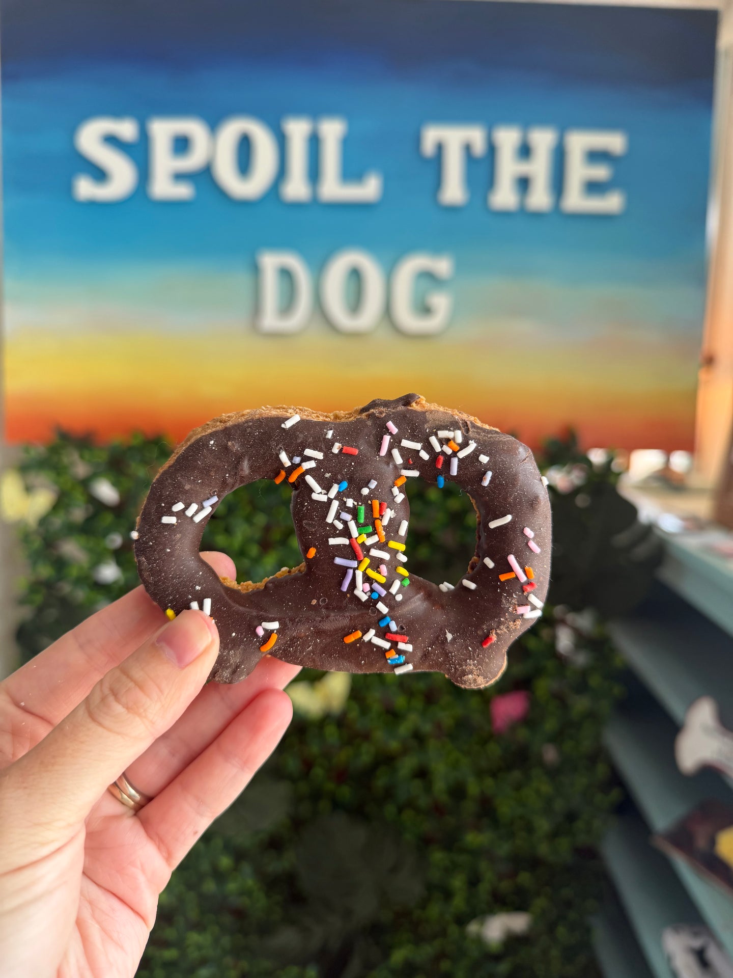 Pretzel Signature Dog Treat