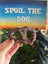 Pretzel Signature Dog Treat