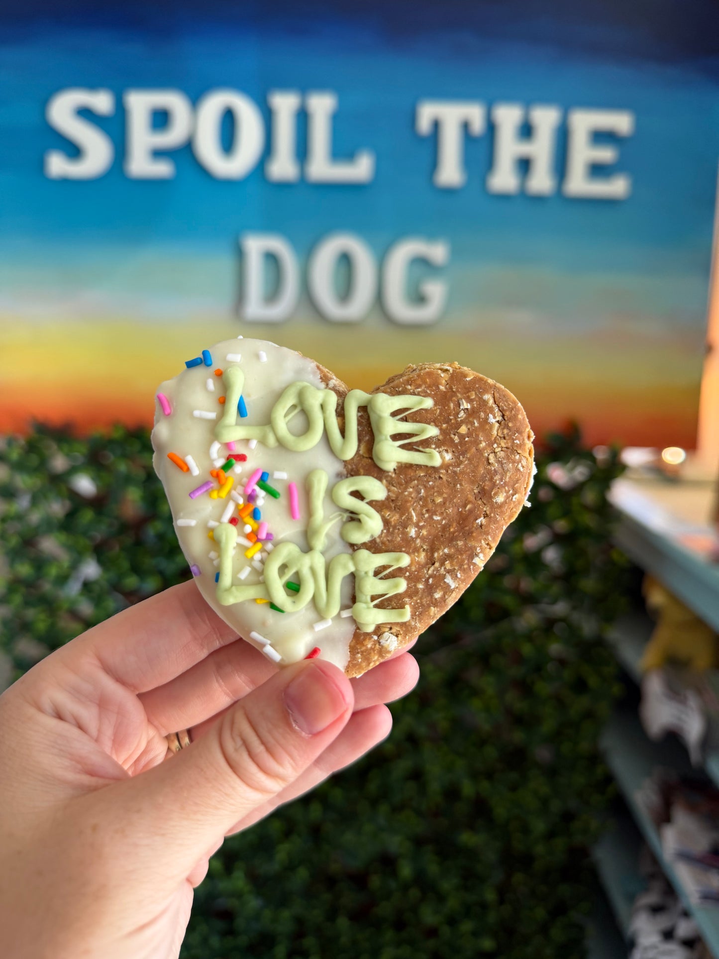 Pride Dog Treat Cookie