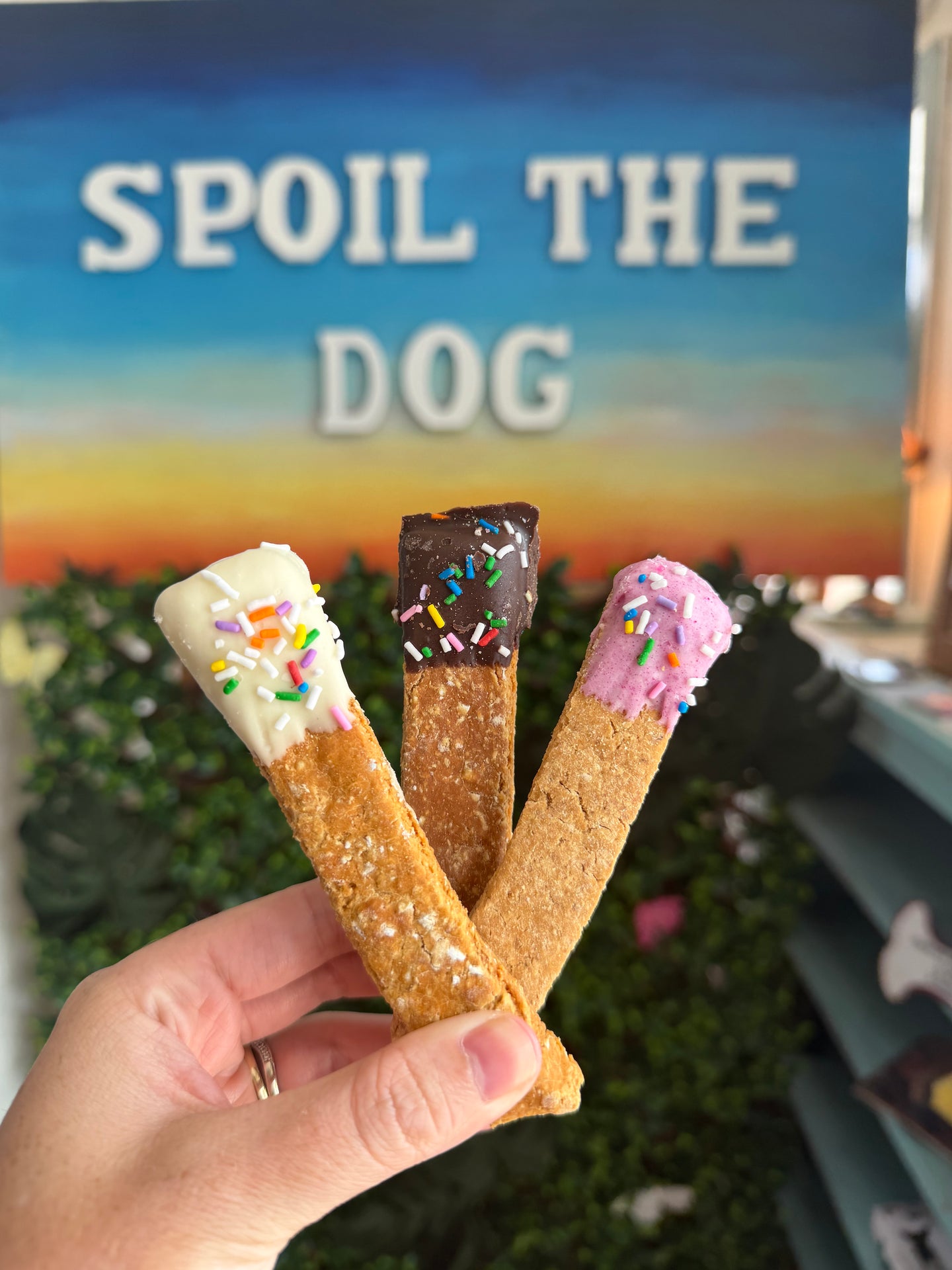 Three dog treats with colorful sprinkles and ice cream-style dips are held in a hand in front of a sign that reads 'SPOIL THE DOG'.
