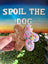Decorative flower-shaped cookie with sprinkles held in front of a 'Spoil the Dog' sign.