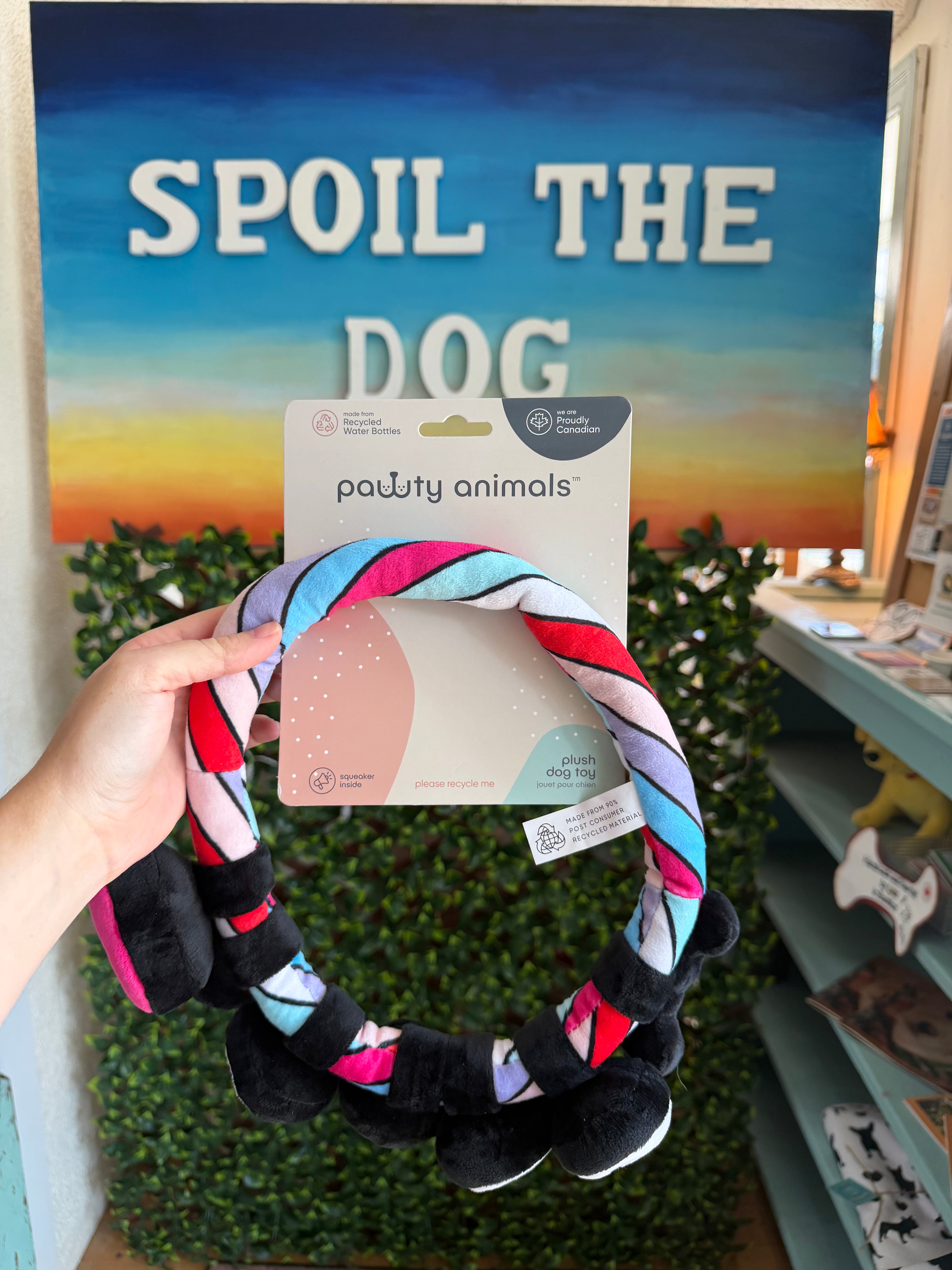 Lover Friendship Bracelet - Rope Dog Toy