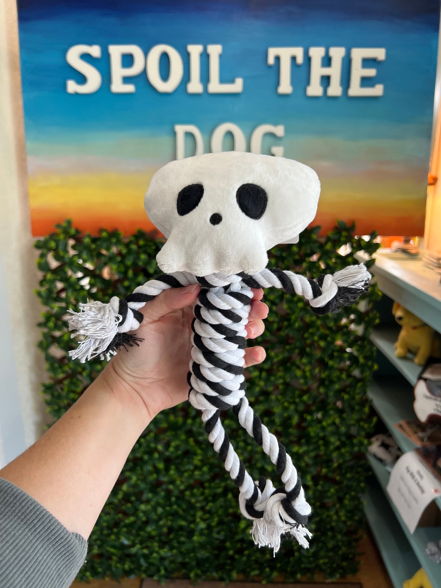 Hand holding a dog toy with a skeleton design and rope, with 'Spoil the Dog' sign in the background.